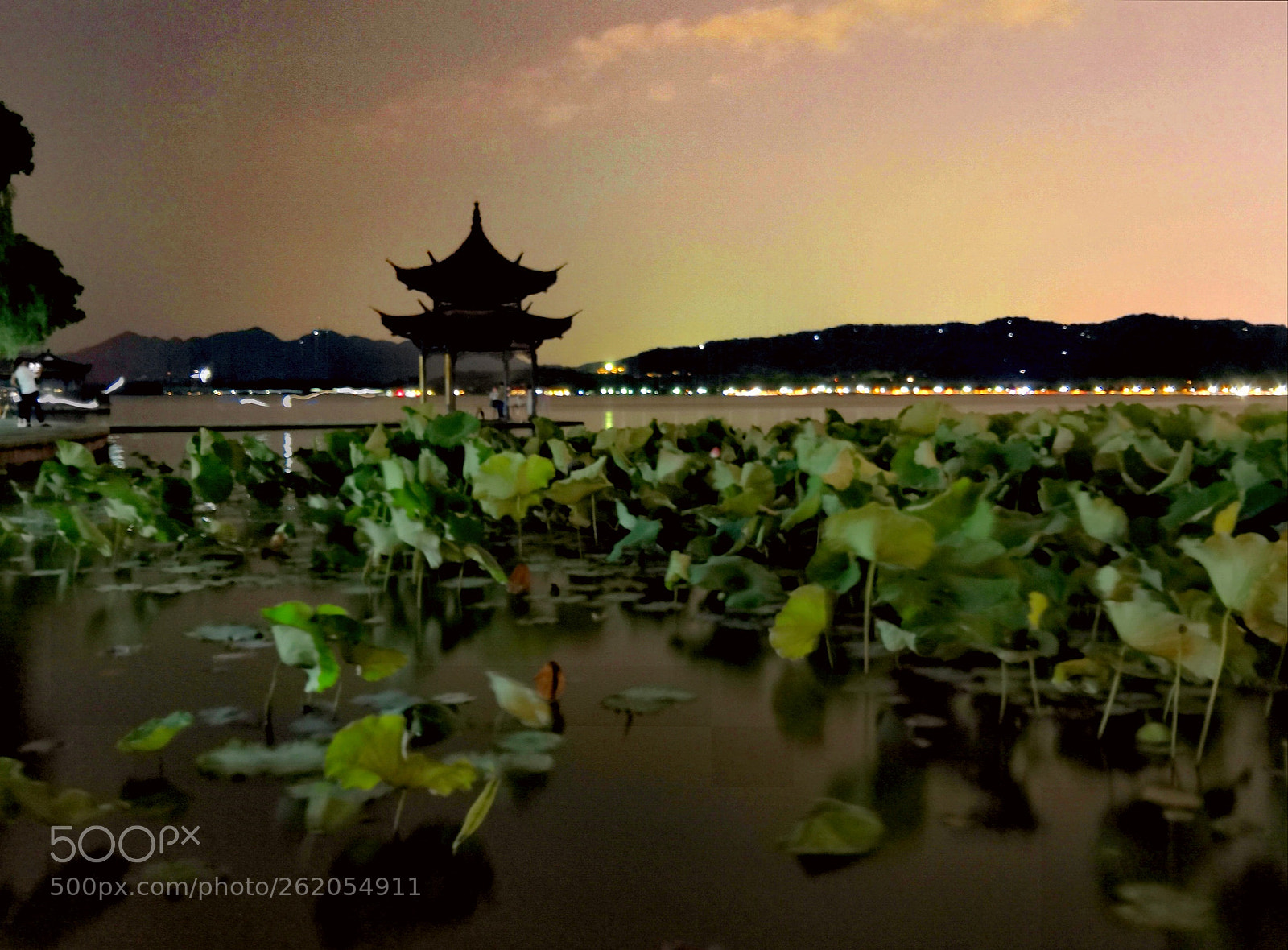 HUAWEI Honor 10 sample photo. Night of  west lake，10 photography