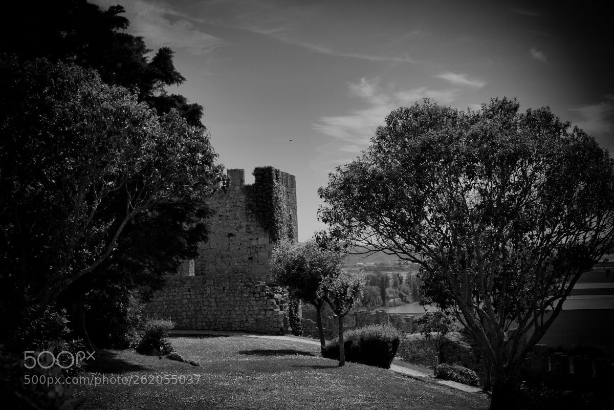 Nikon D750 sample photo. Castelo photography