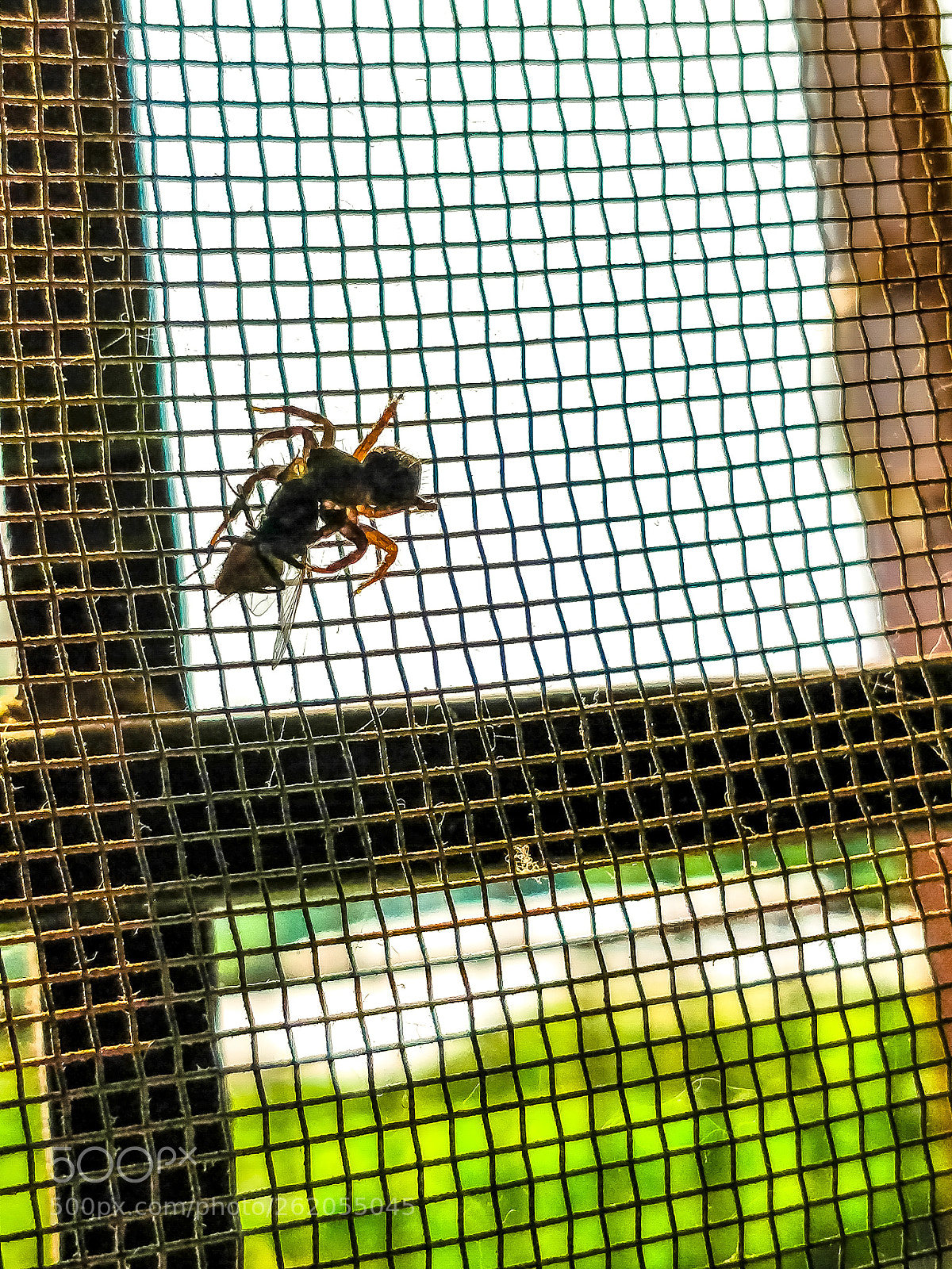 OnePlus 5 sample photo. Untitled photography
