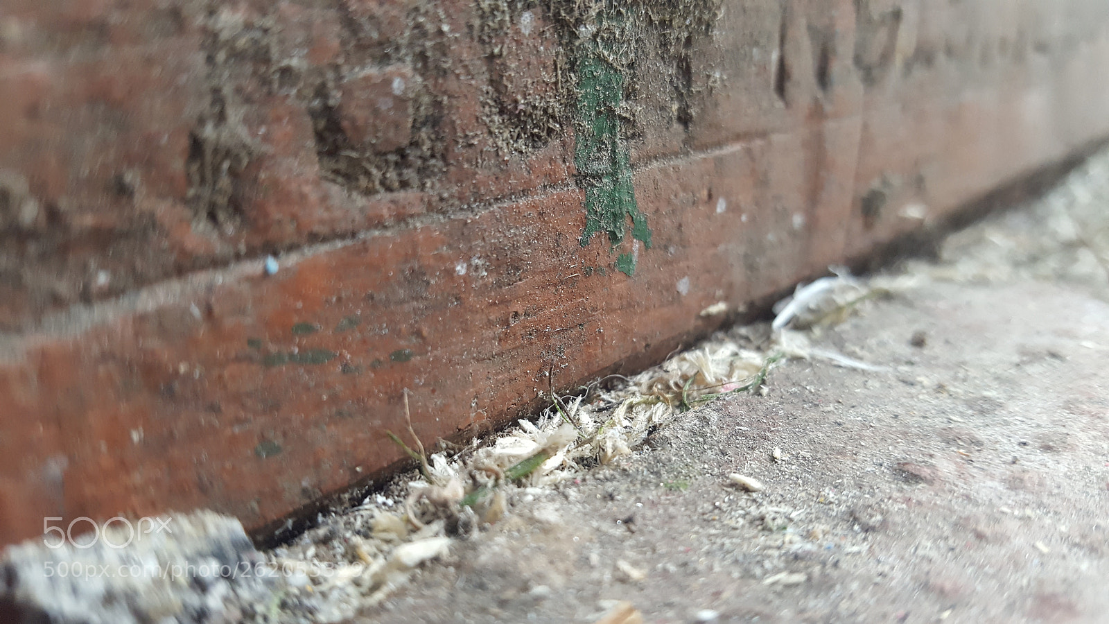 Samsung Galaxy S6 sample photo. Untitled photography