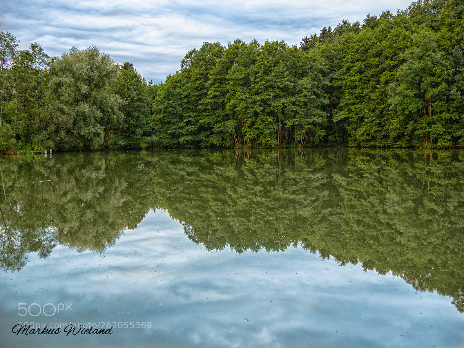 Panasonic Lumix DC-G9 sample photo. Weiher photography