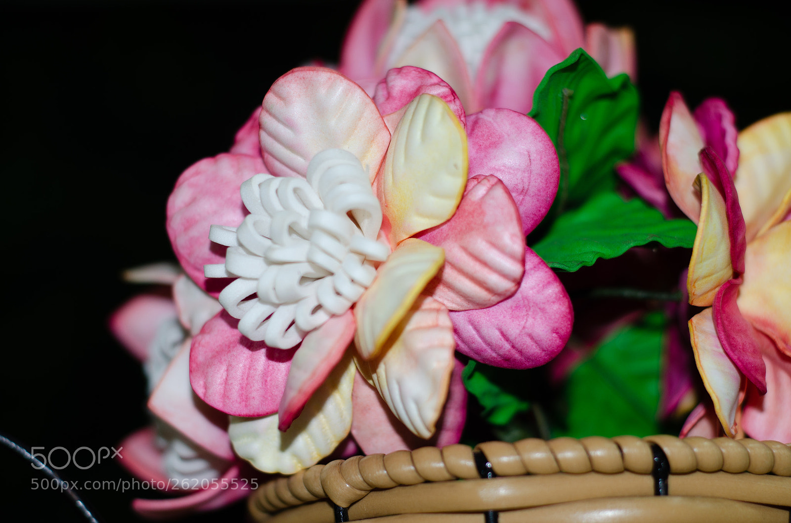 Nikon D5100 sample photo. Flor photography