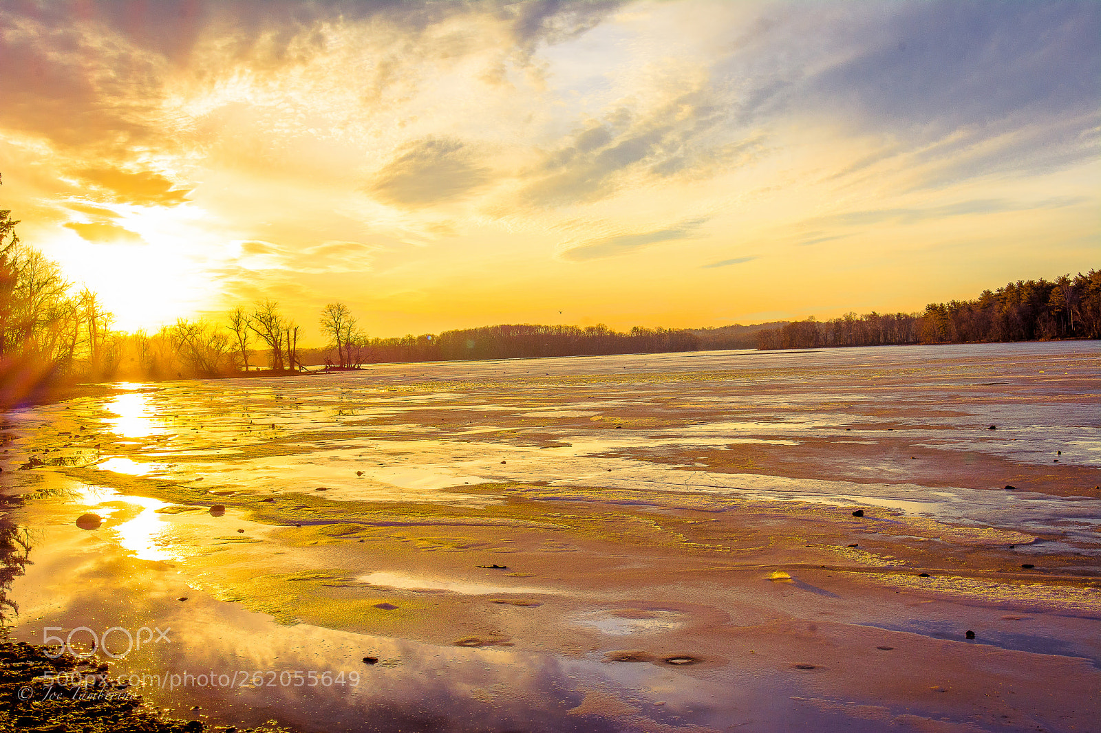 Nikon D7100 sample photo. Untitled photography