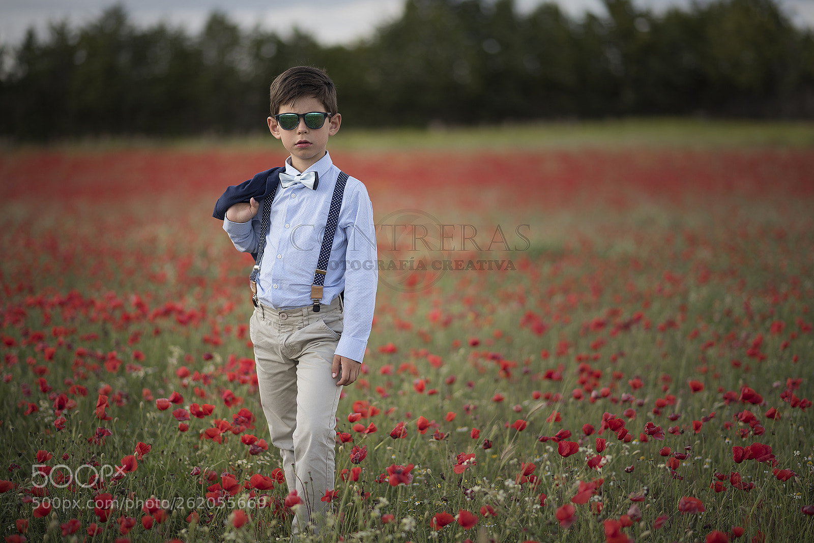 Nikon D750 sample photo. Alonso photography