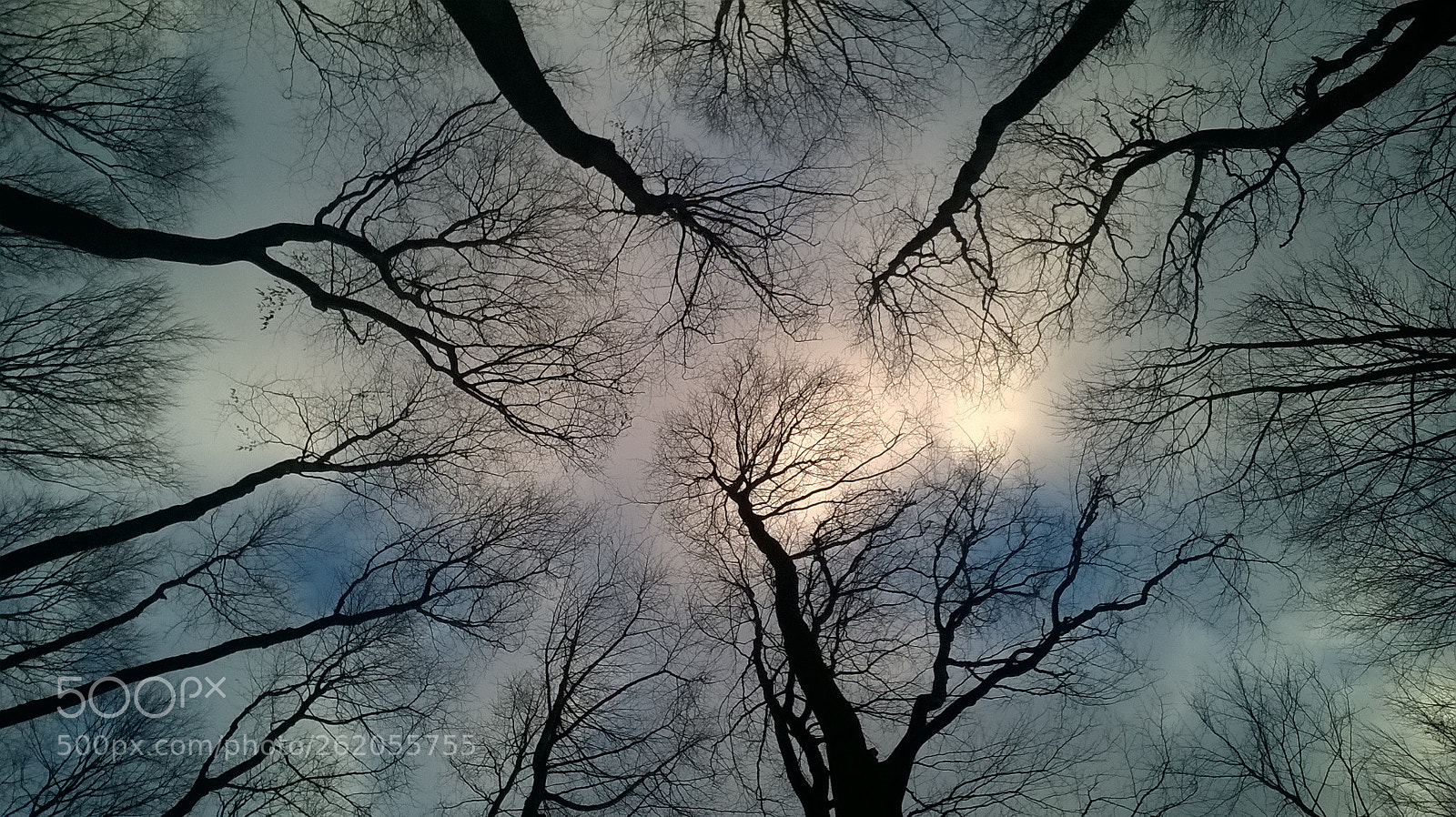 Nokia Lumia 735 sample photo. Sky photography