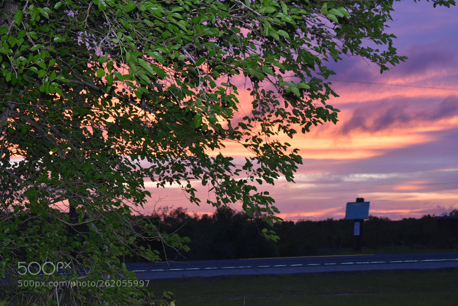 Nikon D5600 sample photo. Sunset photography
