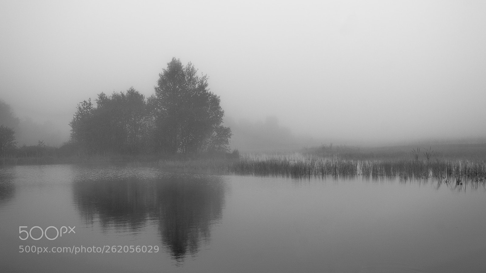 Nikon D3100 sample photo. Serene lake photography