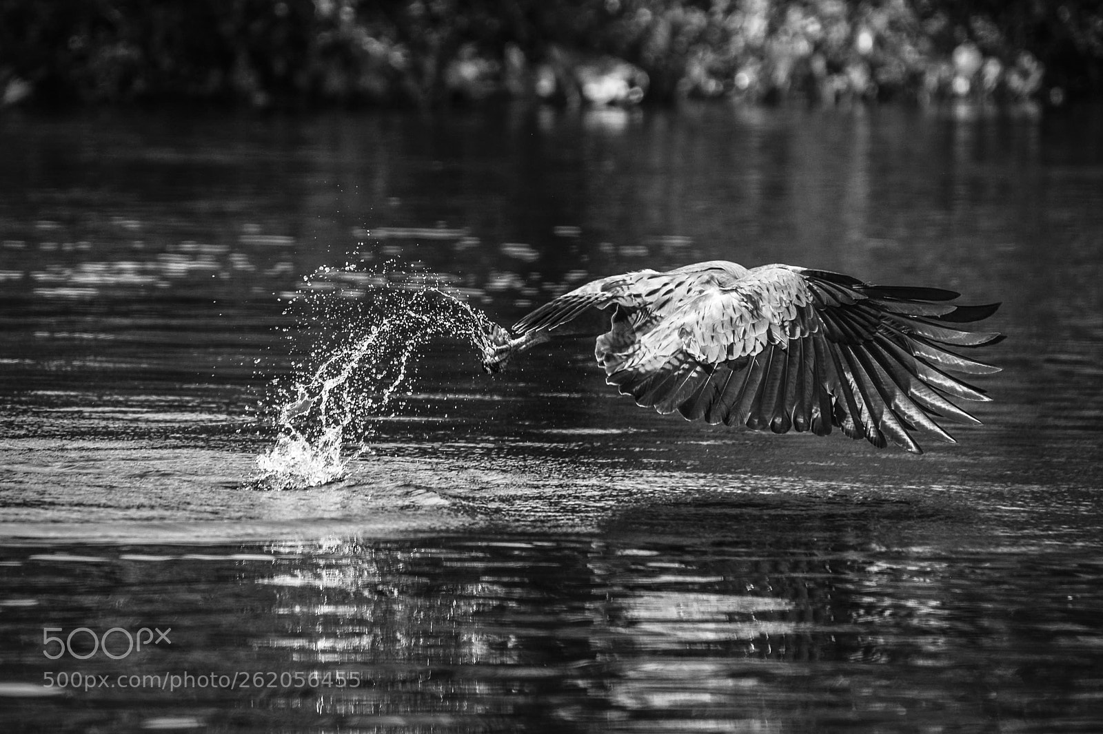 Nikon D600 sample photo. Gone fishing photography