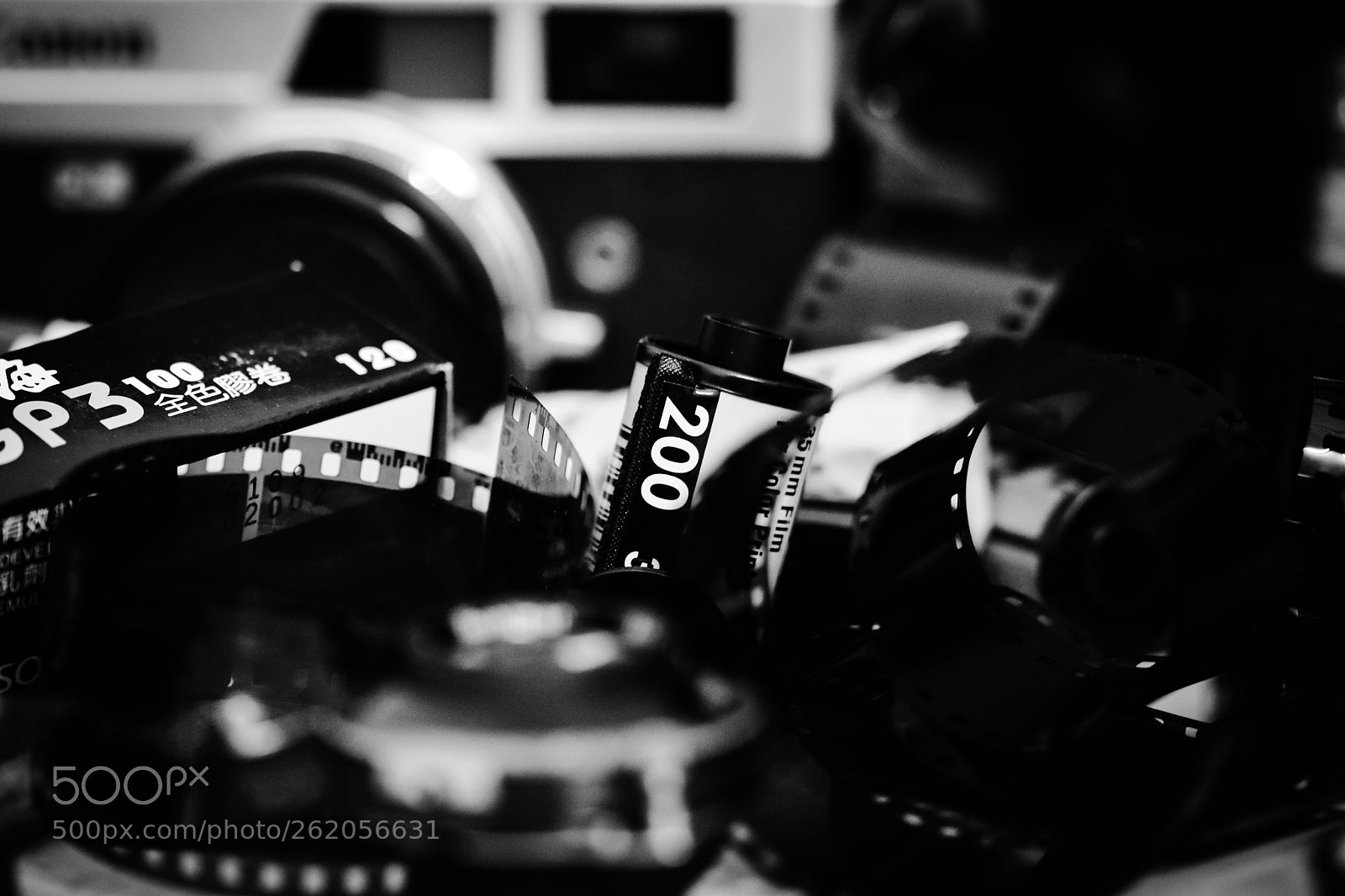 Nikon D7200 sample photo. Film photography