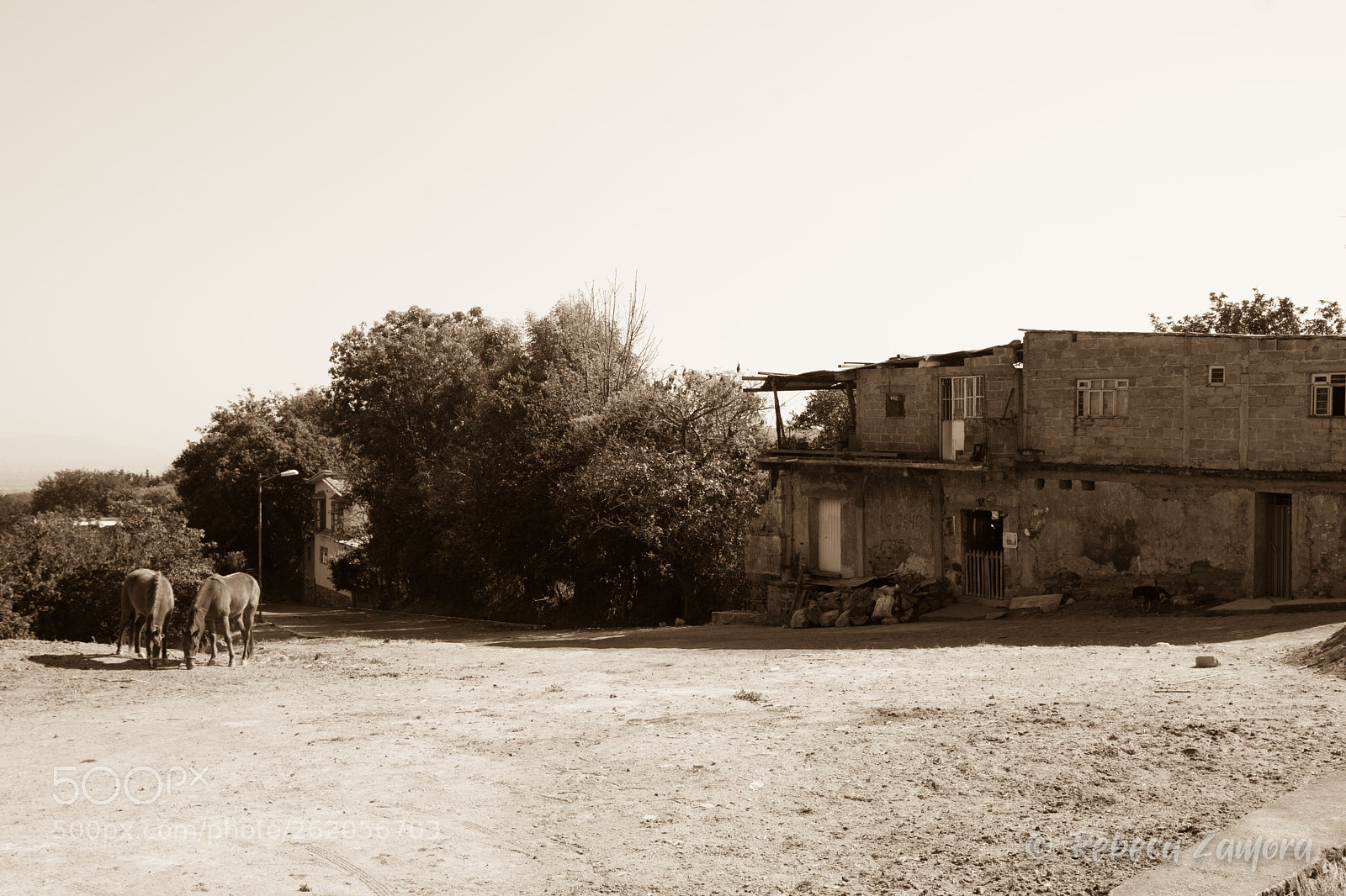 Nikon D7200 sample photo. Nostalgia mexico photography