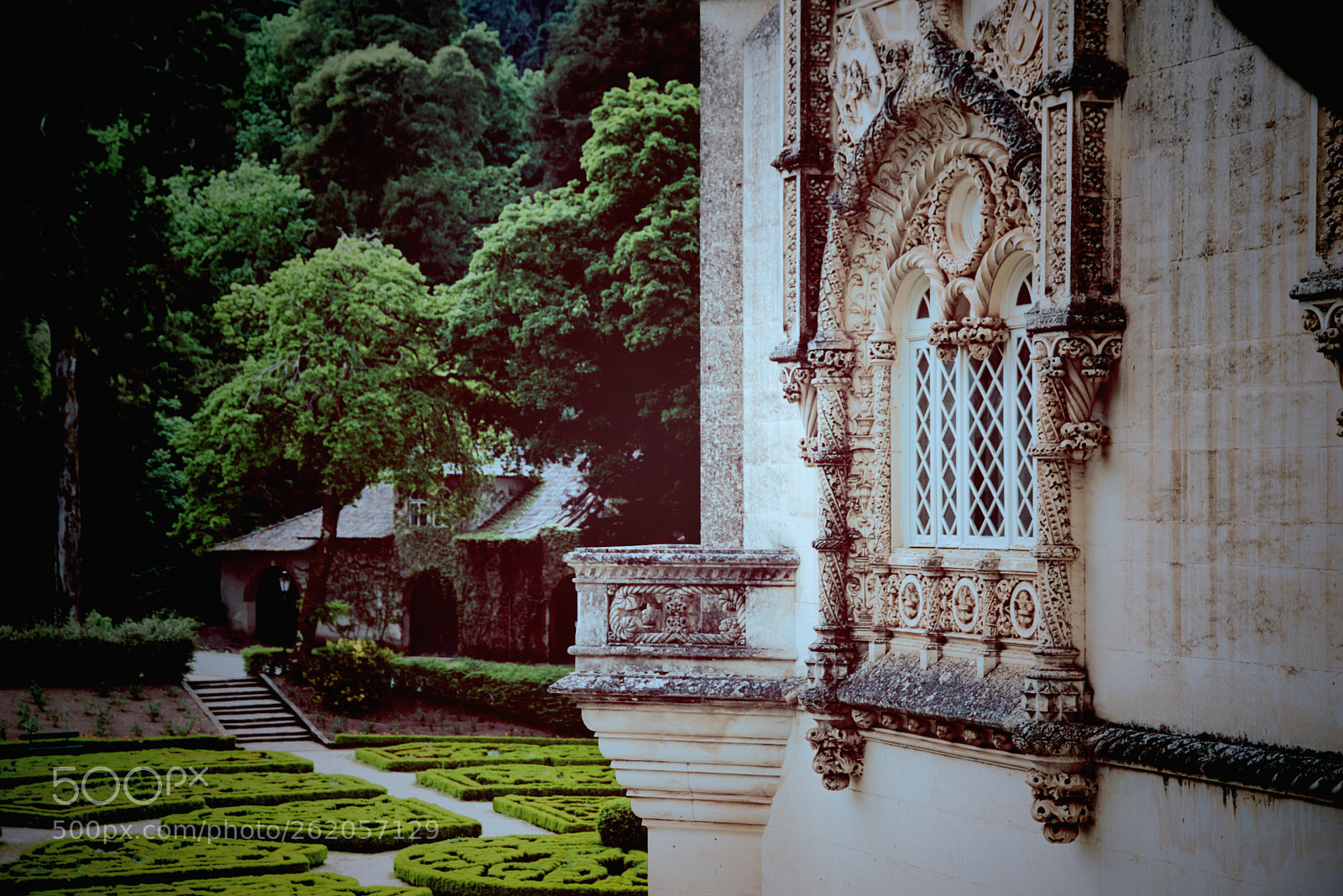 Nikon D750 sample photo. Palácio bussaco photography