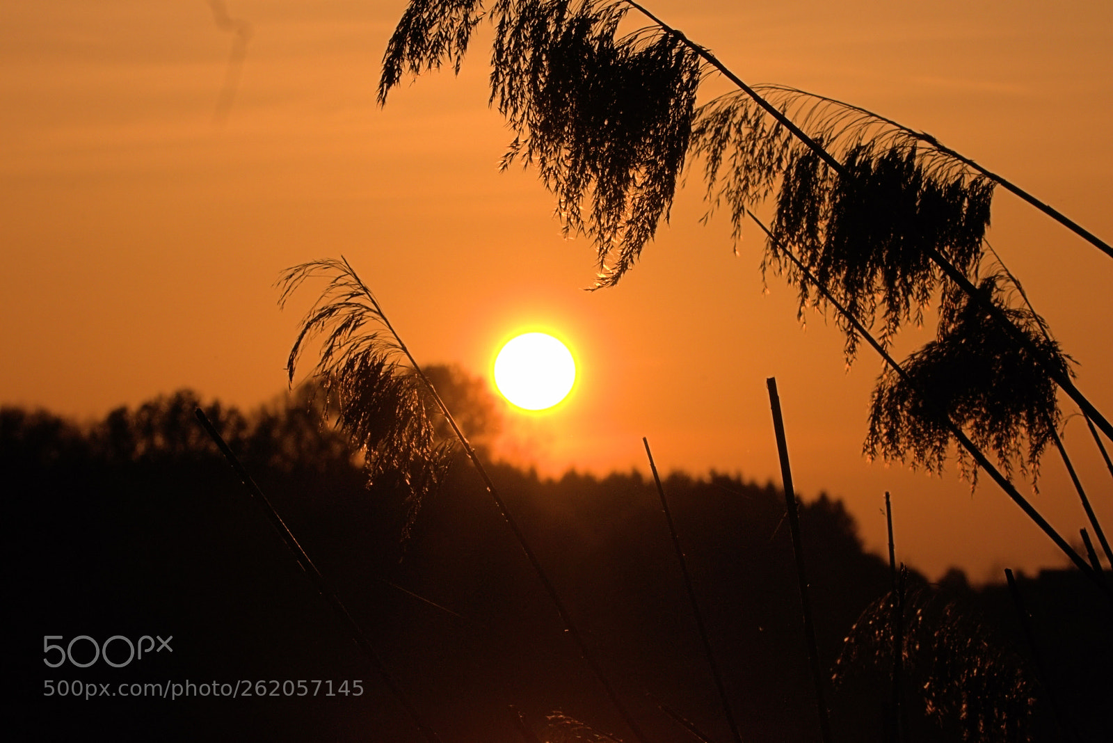 Canon EOS 80D sample photo. Untitled photography