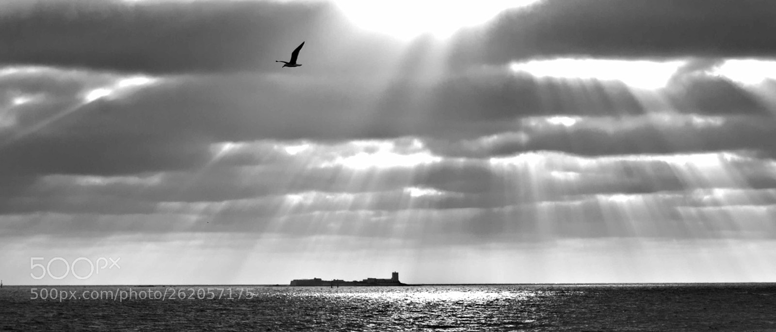 Nikon D200 sample photo. Castillo de sancti petri photography