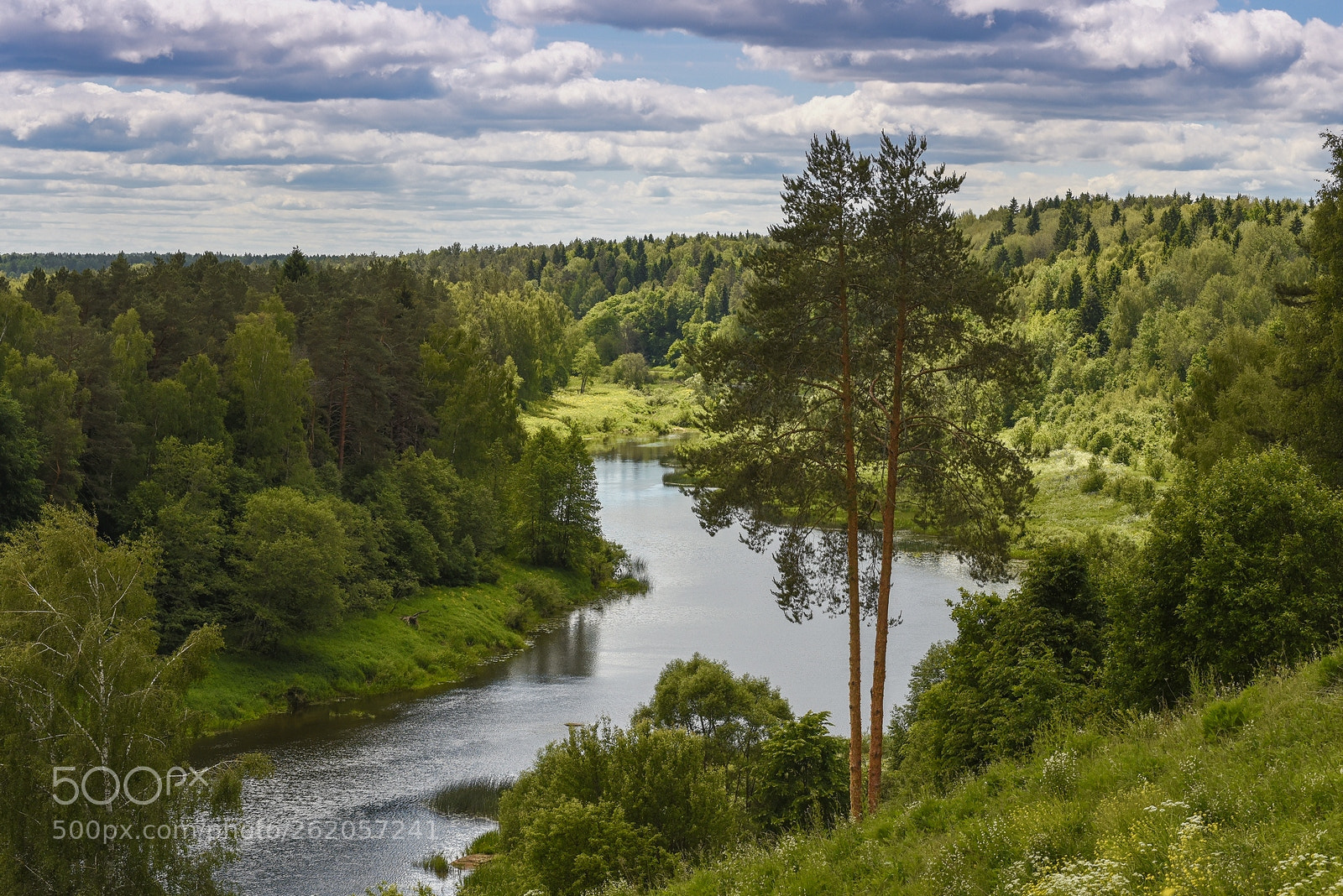 Nikon D750 sample photo. Russia photography