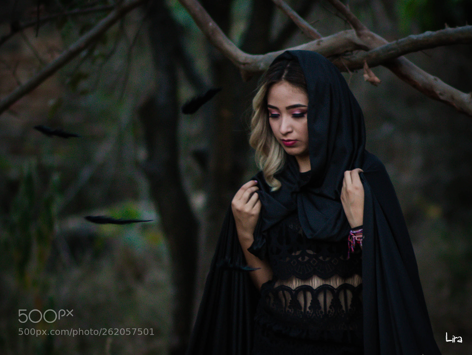 Canon EOS 70D sample photo. Sweet darkness photography