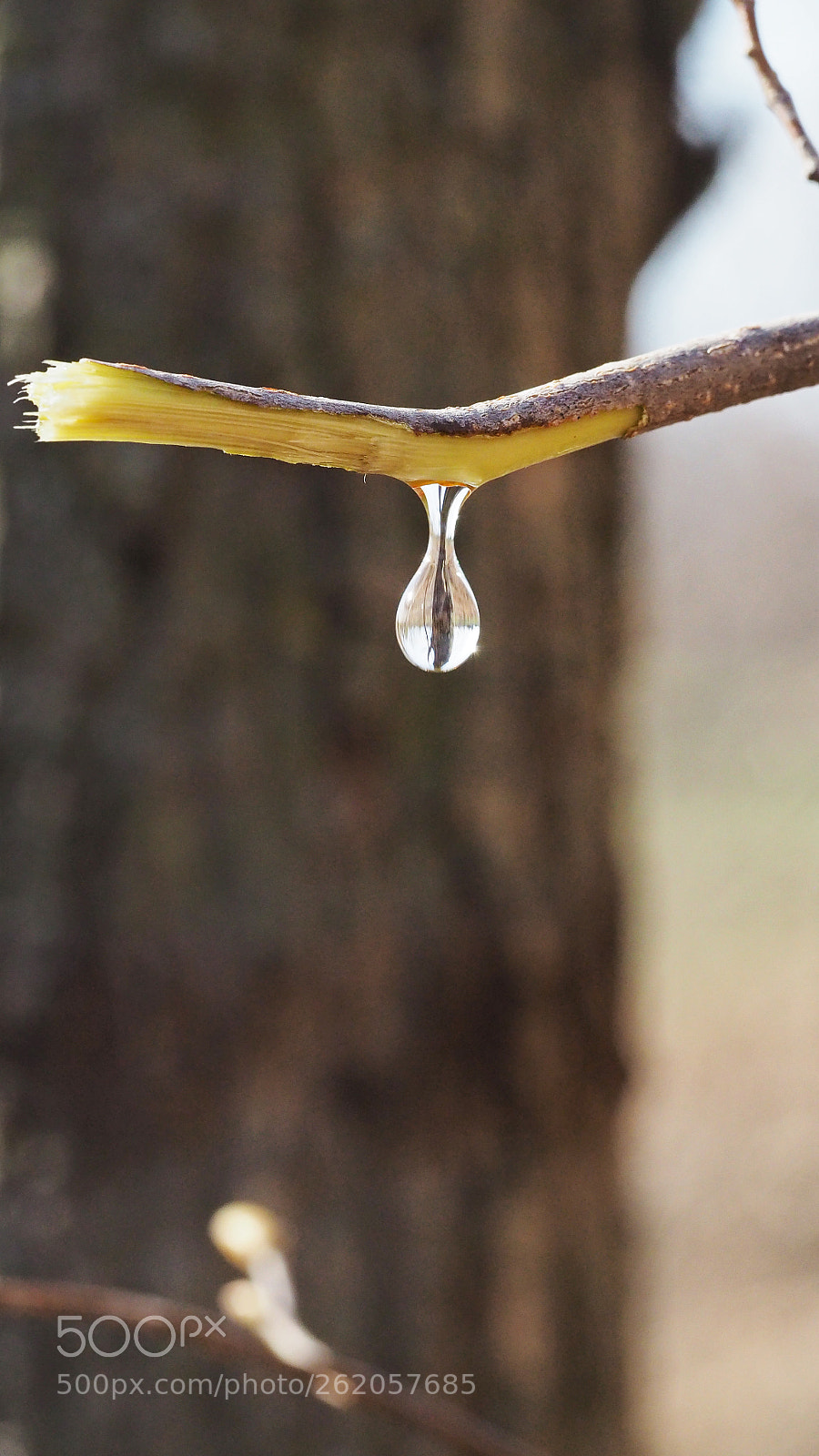 Olympus OM-D E-M5 II sample photo. Droplets falling photography