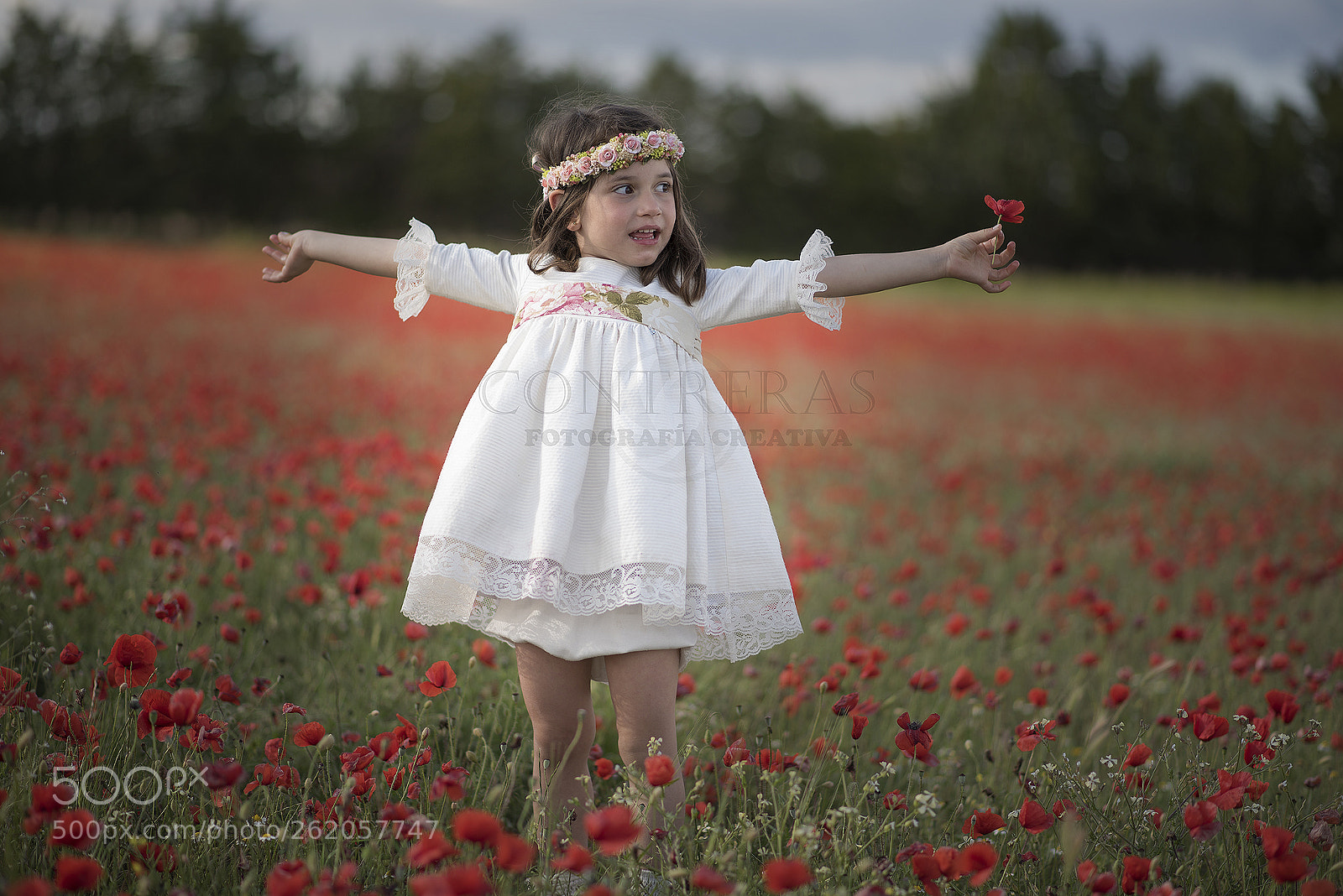 Nikon D750 sample photo. Julia photography