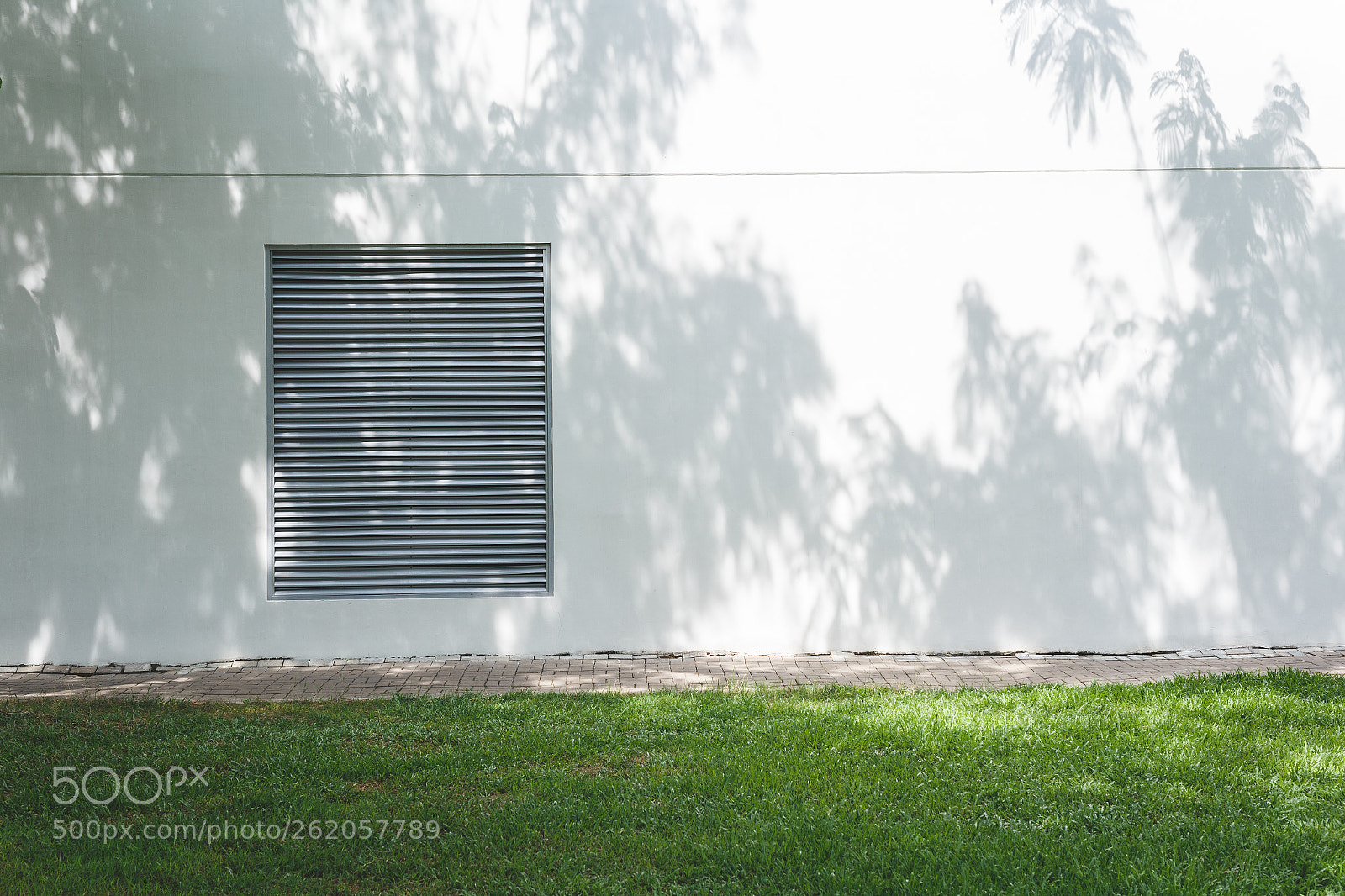 Canon EOS 6D sample photo. The white wall photography