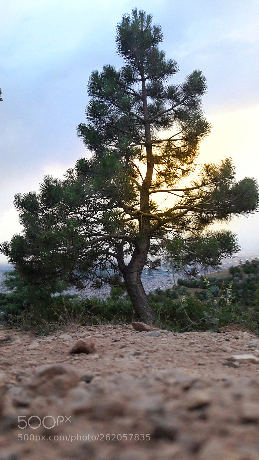 Samsung Galaxy J7 sample photo. Untitled photography