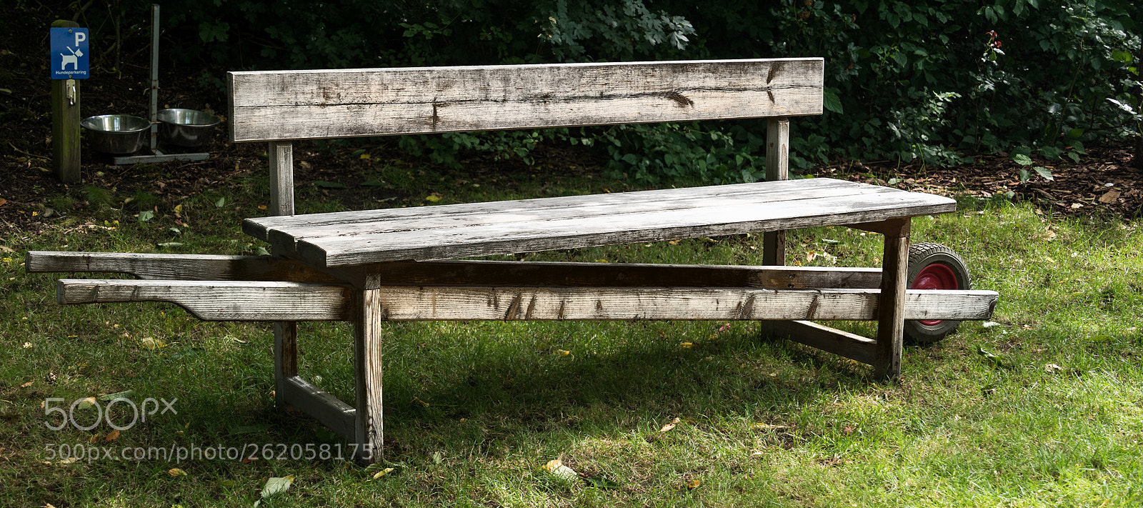 Sony ILCA-77M2 sample photo. Movable photography