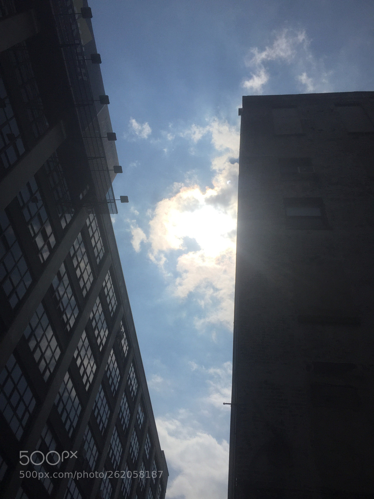 Apple iPhone 6 sample photo. Img photography