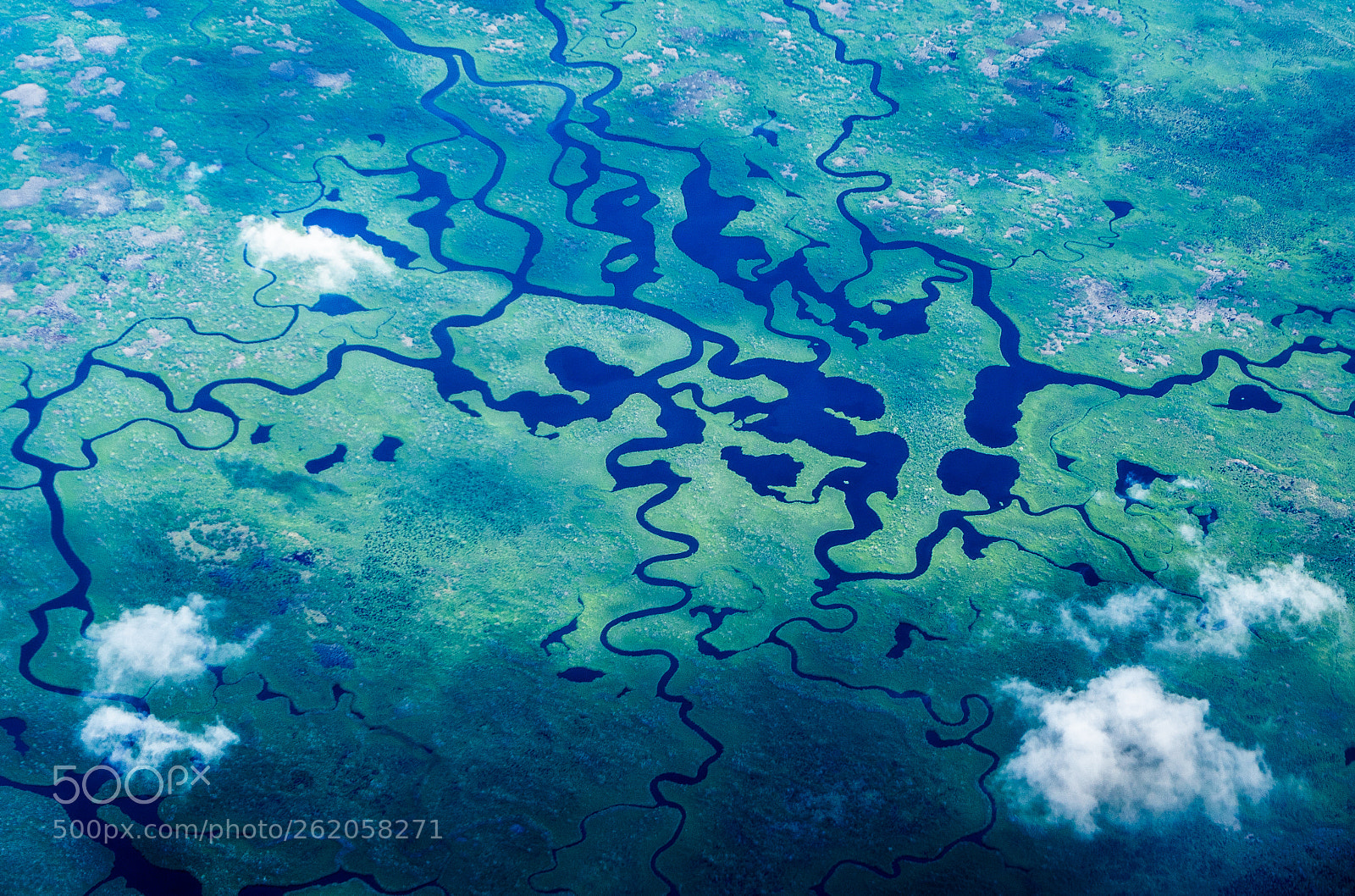 Sony a7 sample photo. Everglades swamp photography