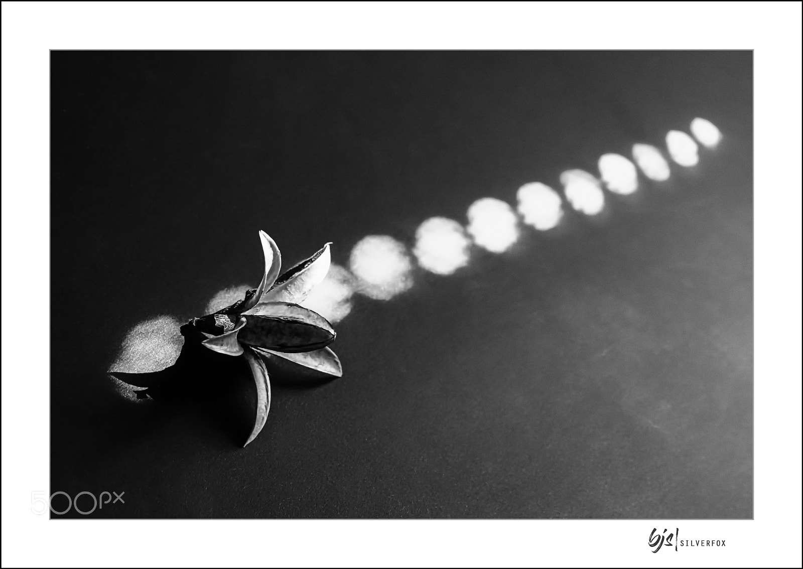 Sony Cyber-shot DSC-RX10 IV sample photo. Follow the light photography
