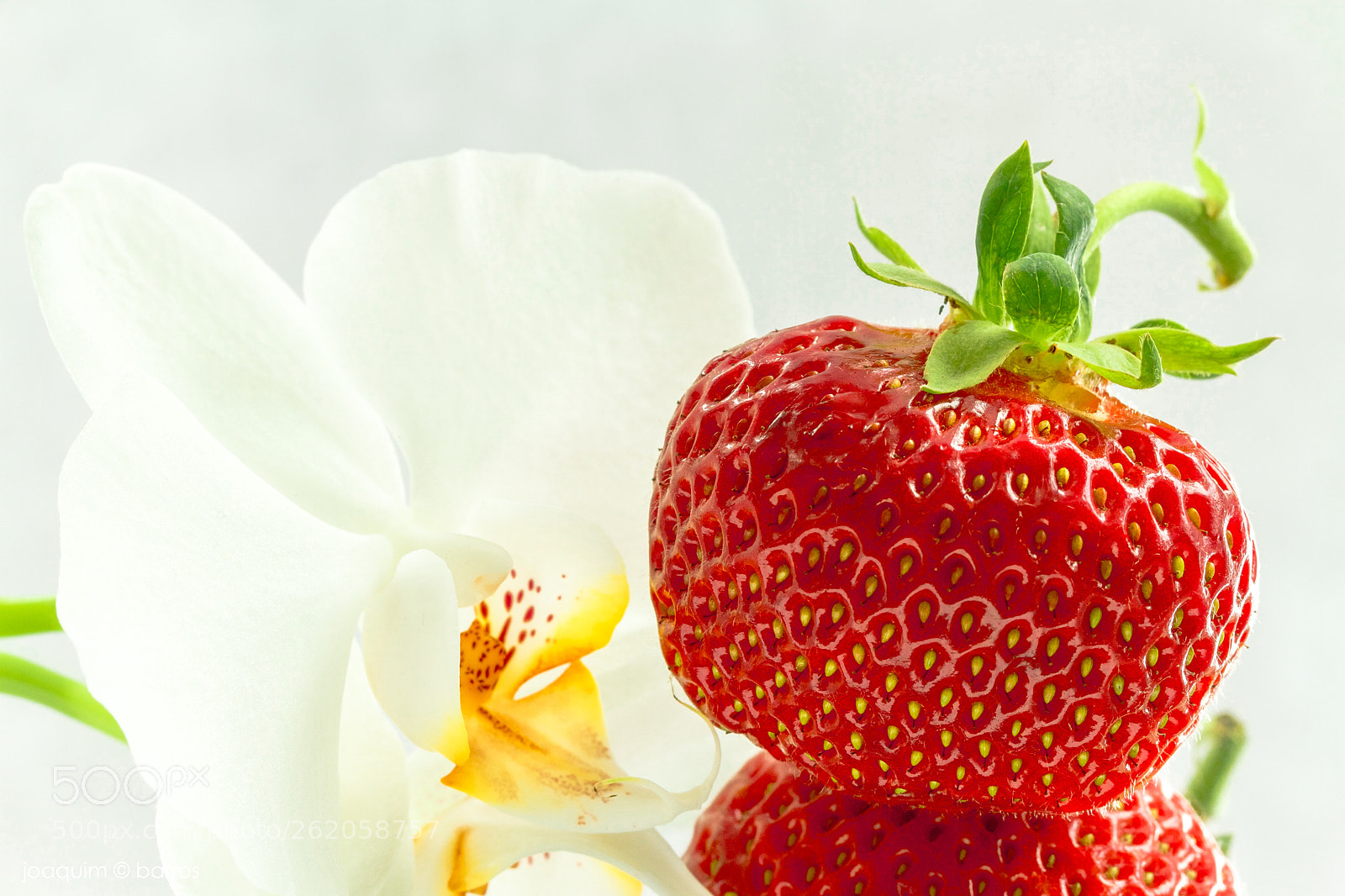 Canon EOS 7D sample photo. Warm red photography
