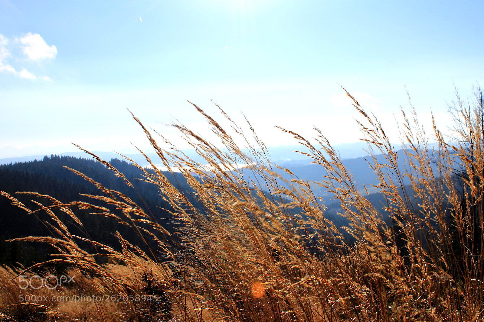 Canon EOS 1100D (EOS Rebel T3 / EOS Kiss X50) sample photo. Beskydy photography