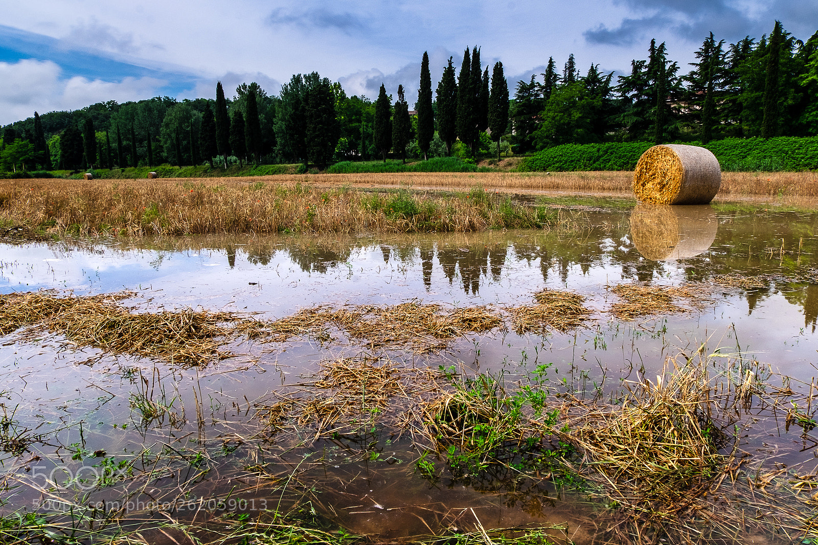 Fujifilm X-T10 sample photo. .. dopo il temporale ... photography