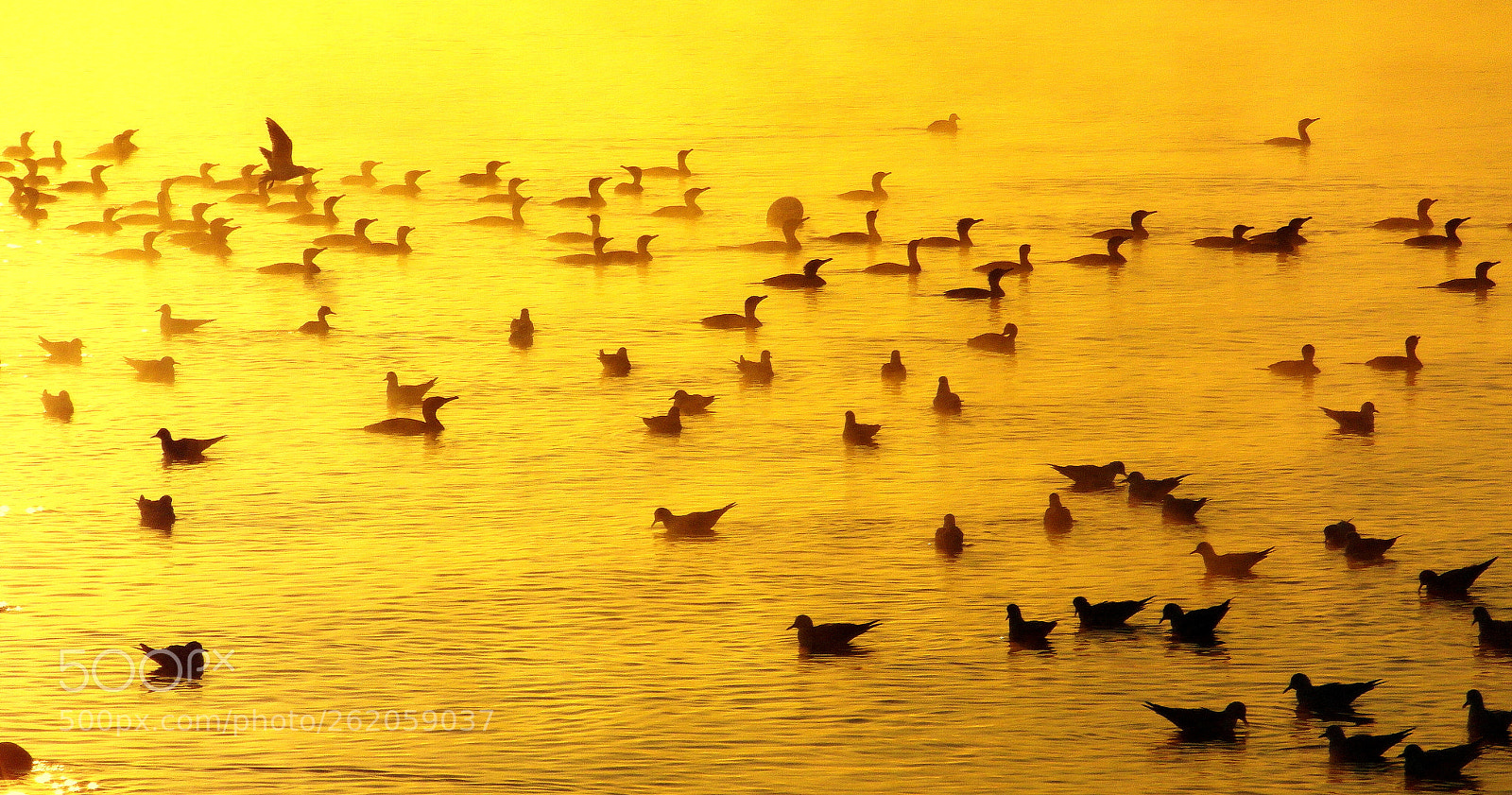Samsung WB750 sample photo. Liquid gold or water photography