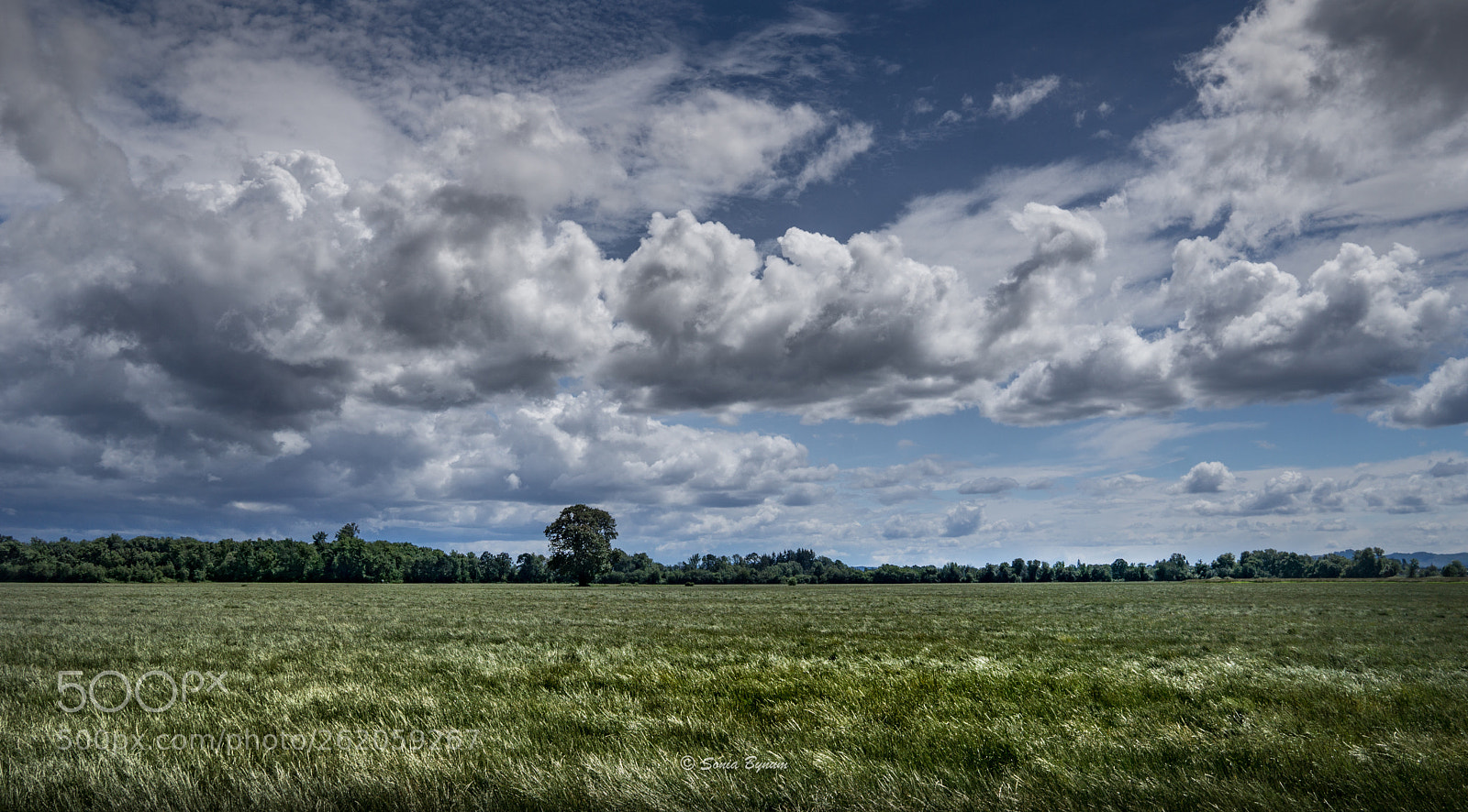 Sony a6000 sample photo. Peace photography