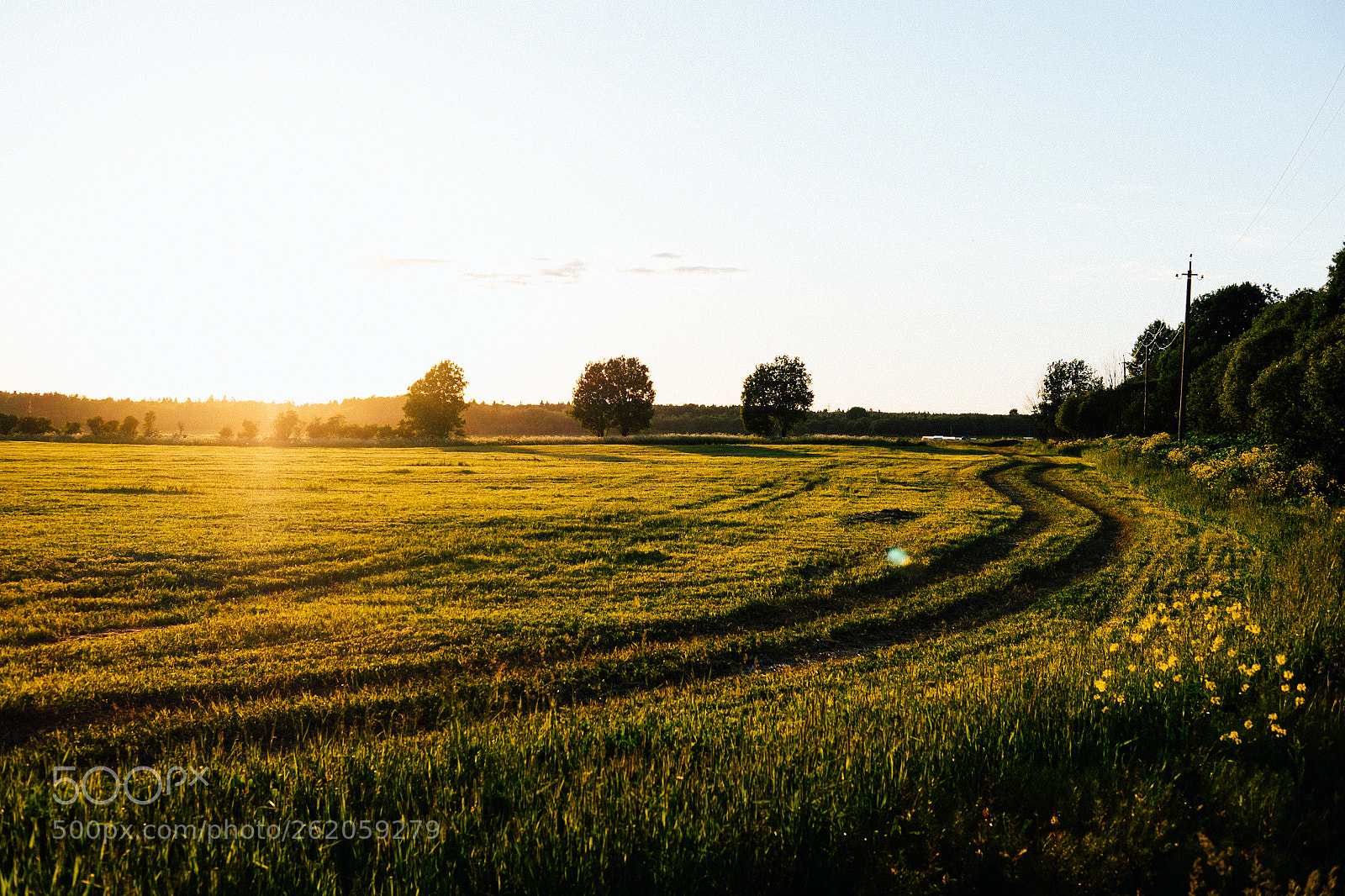 Fujifilm X-T1 sample photo. Field photography