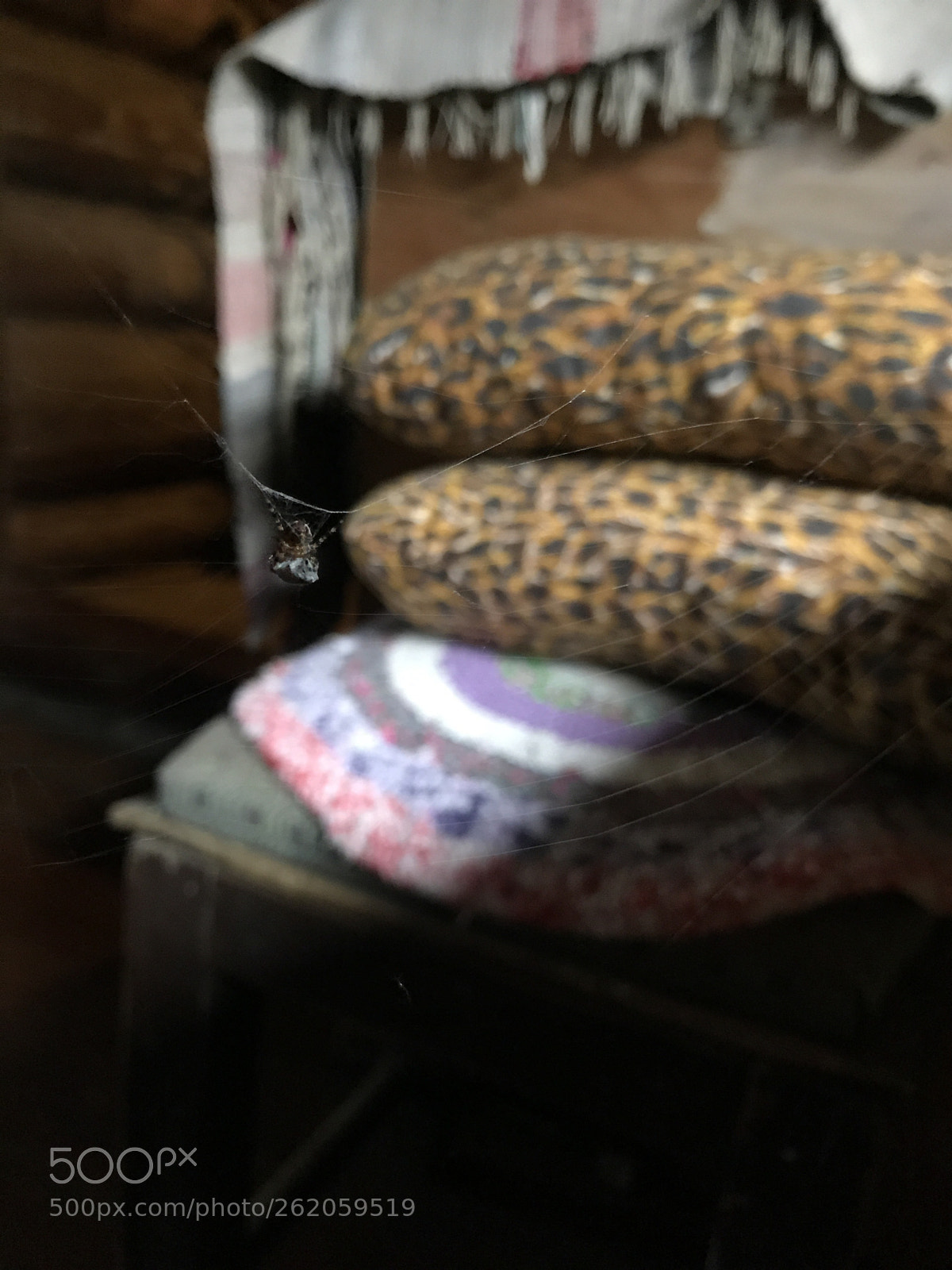 Apple iPhone 7 sample photo. Inhabitant photography
