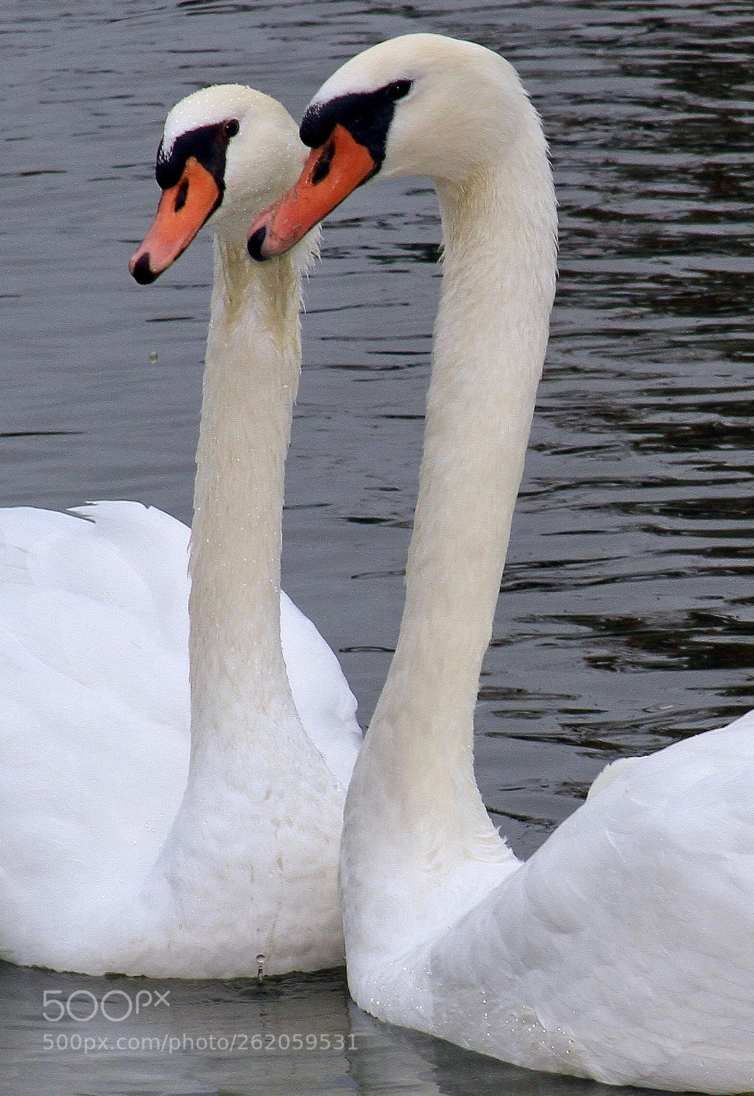 Canon EOS 7D sample photo. Our  best   side photography