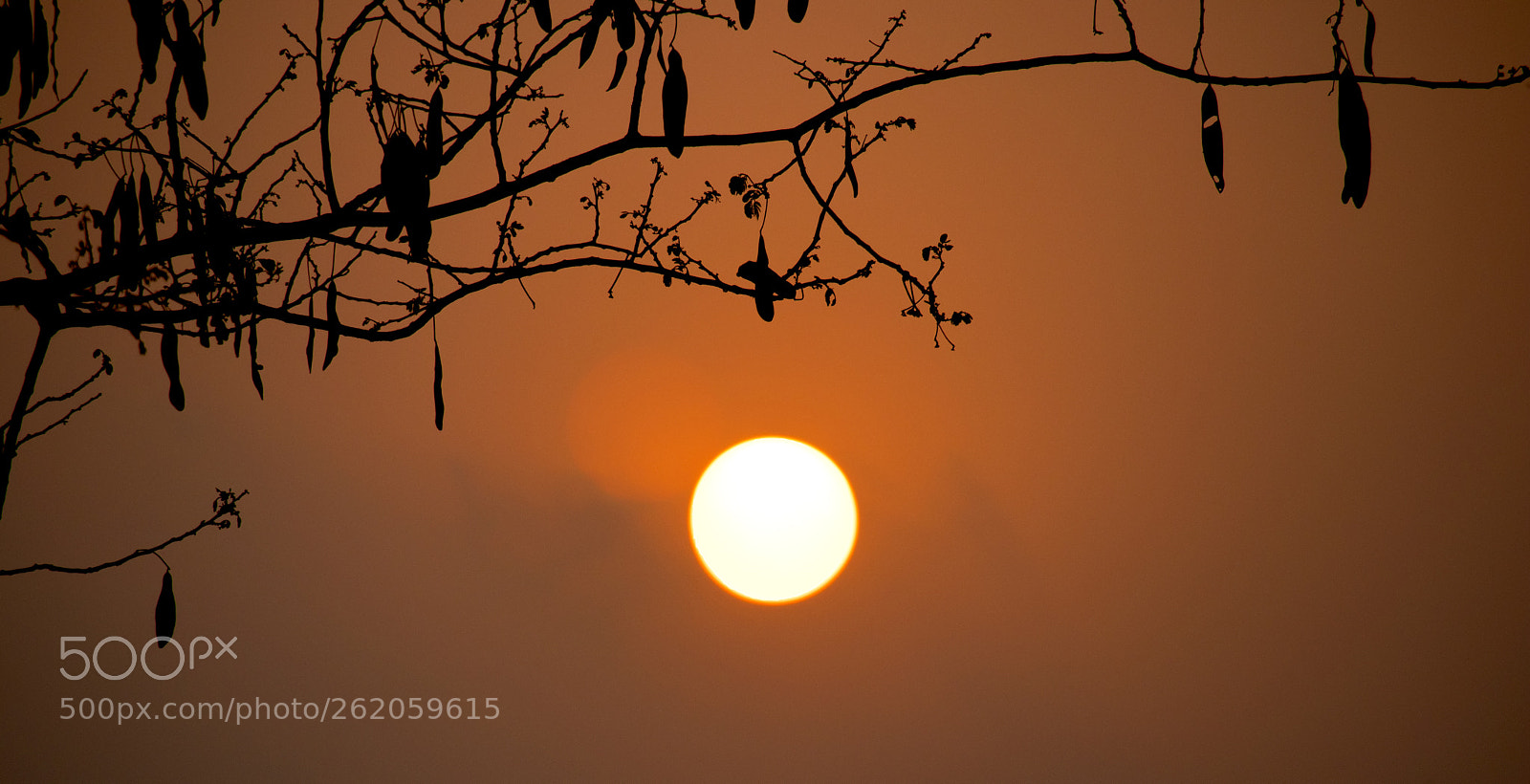 Canon EOS 200D (EOS Rebel SL2 / EOS Kiss X9) sample photo. The sunset photography