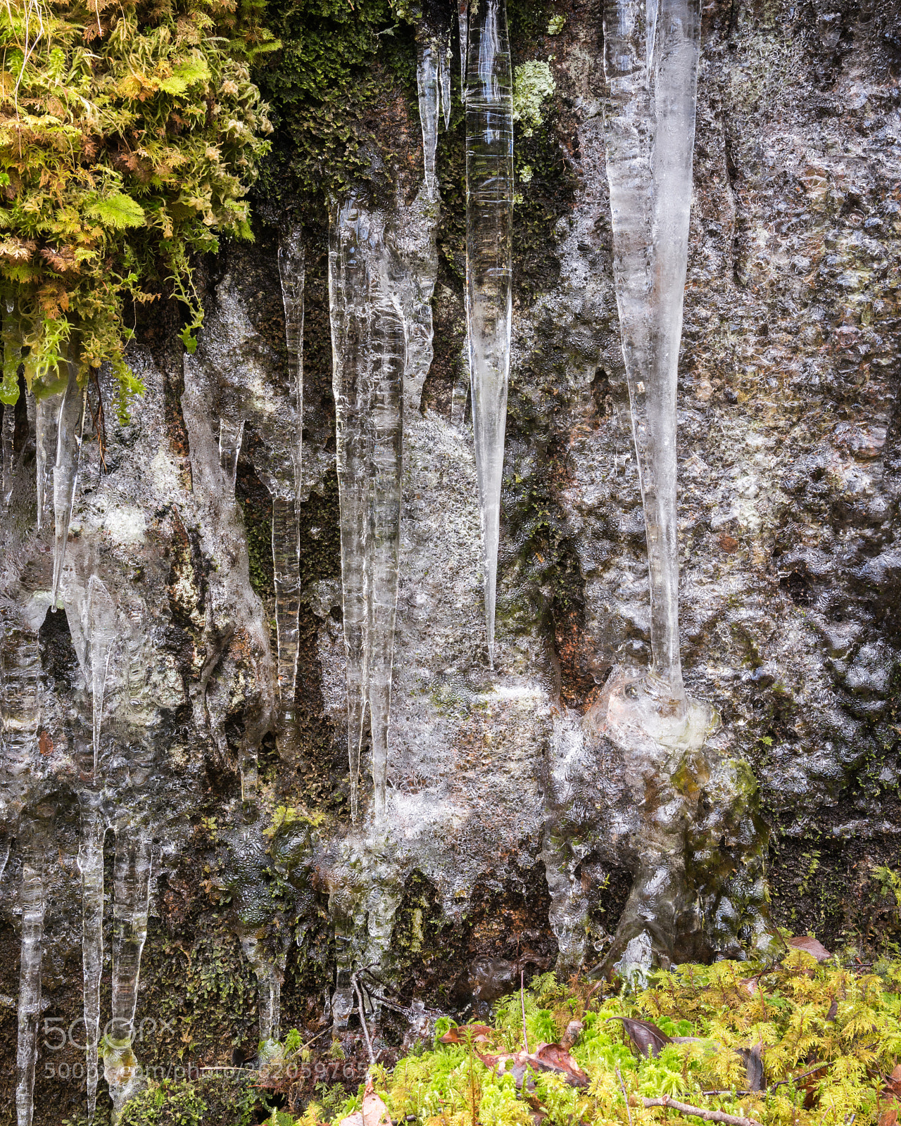 Nikon D810 sample photo. Glen etive icicles photography