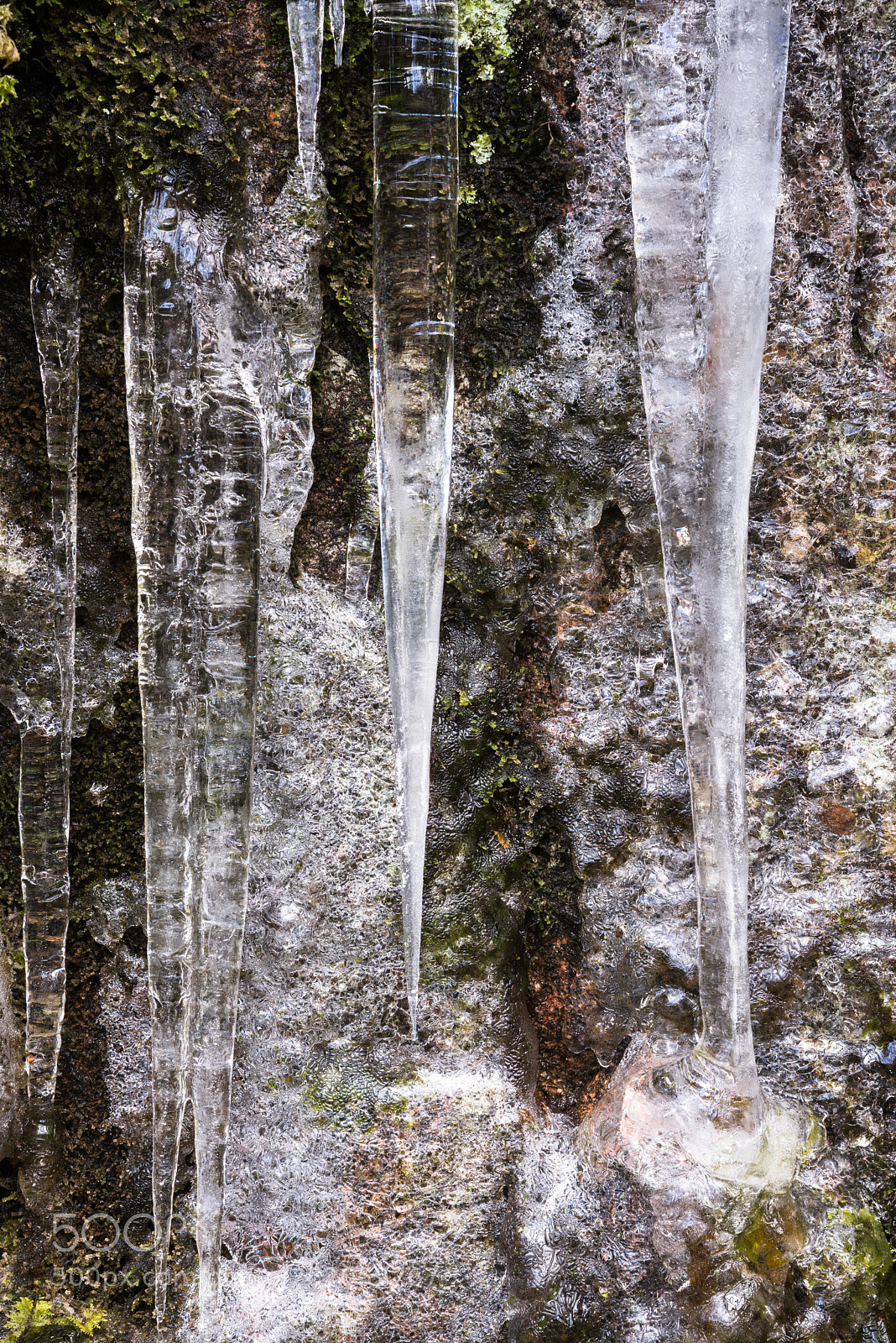 Nikon D810 sample photo. River coupall icicles photography