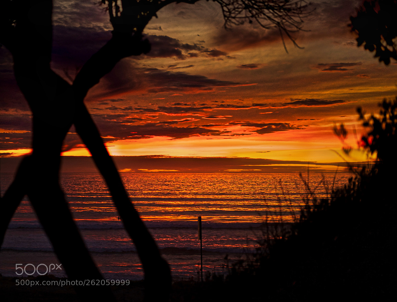 Sony a7 sample photo. Del mar photography