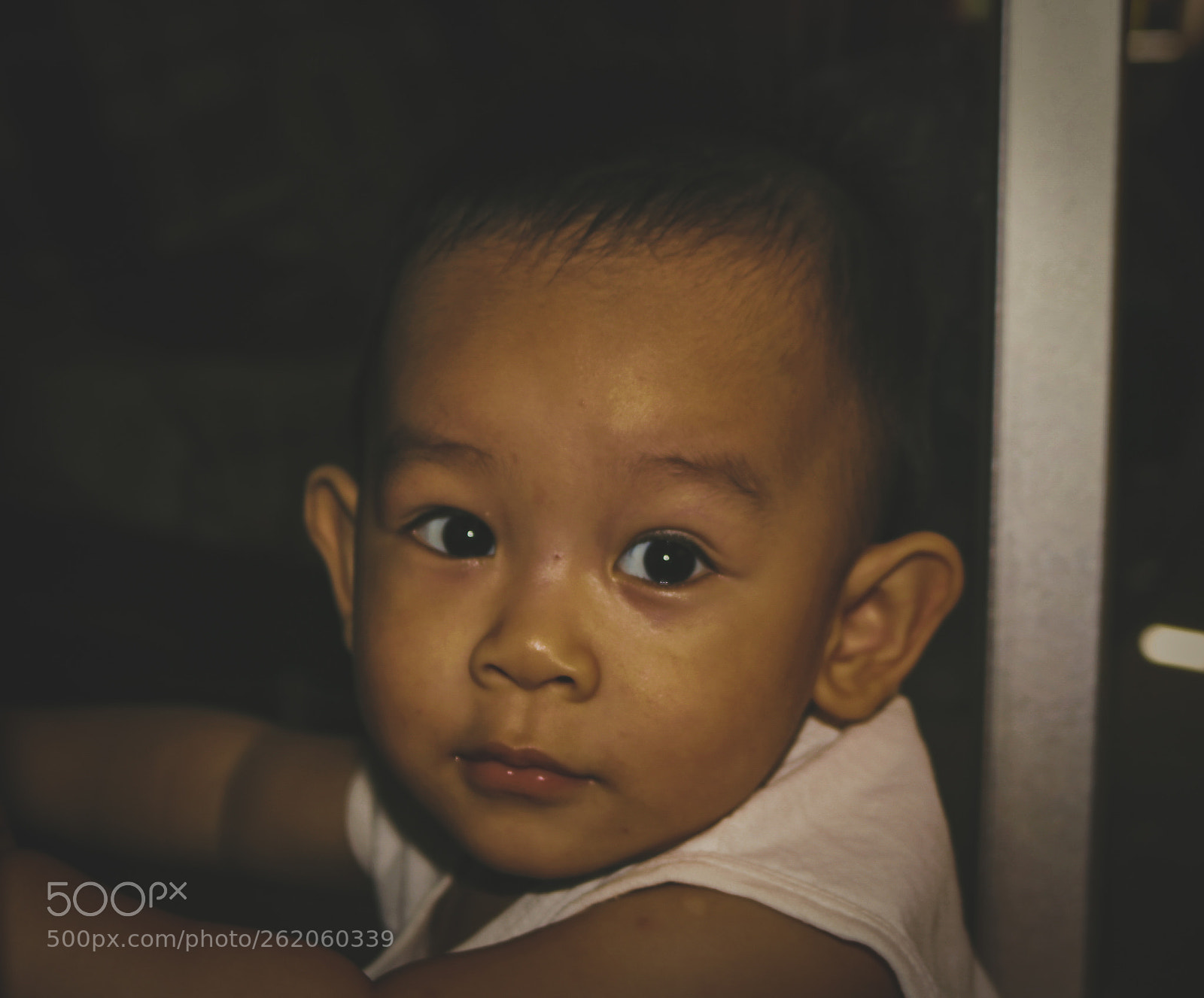 Canon EOS 750D (EOS Rebel T6i / EOS Kiss X8i) sample photo. The eyes photography