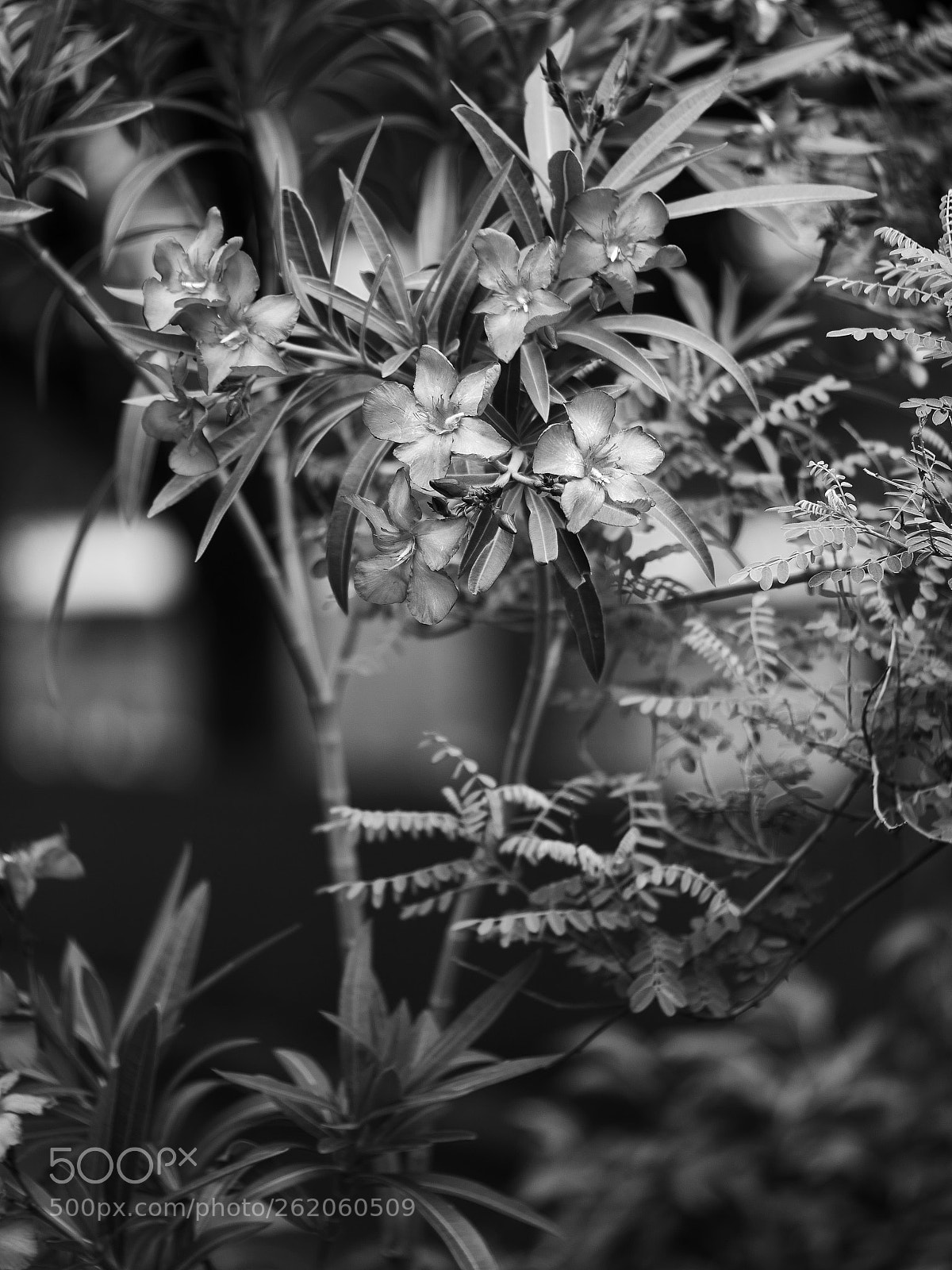 Panasonic Lumix DC-GX9 sample photo. Passage photography
