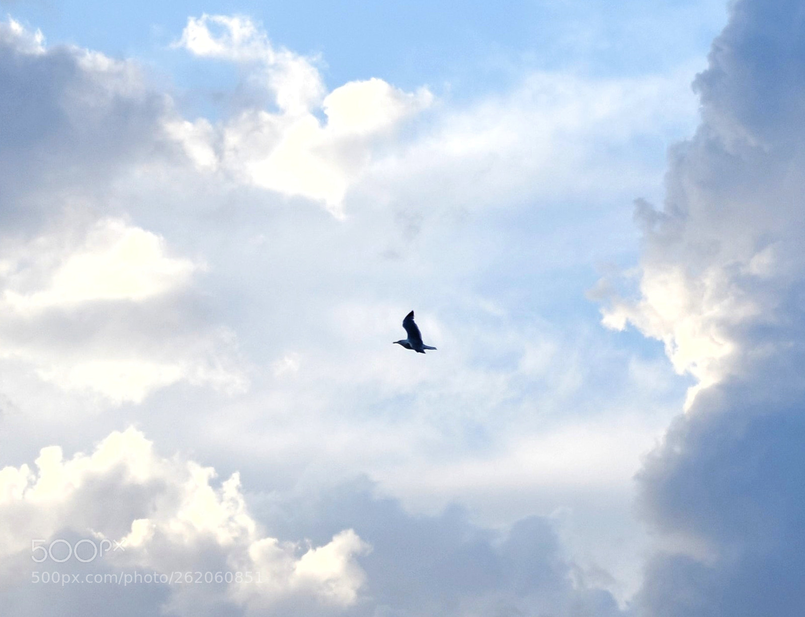 Nikon D7200 sample photo. Untitled photography