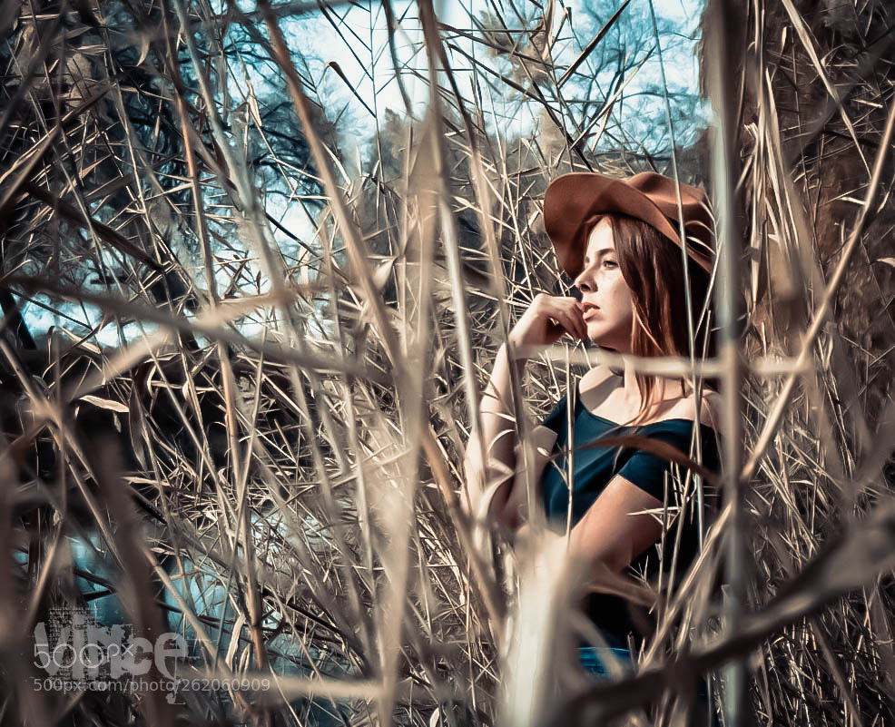 Nikon D5100 sample photo. Untitled photography