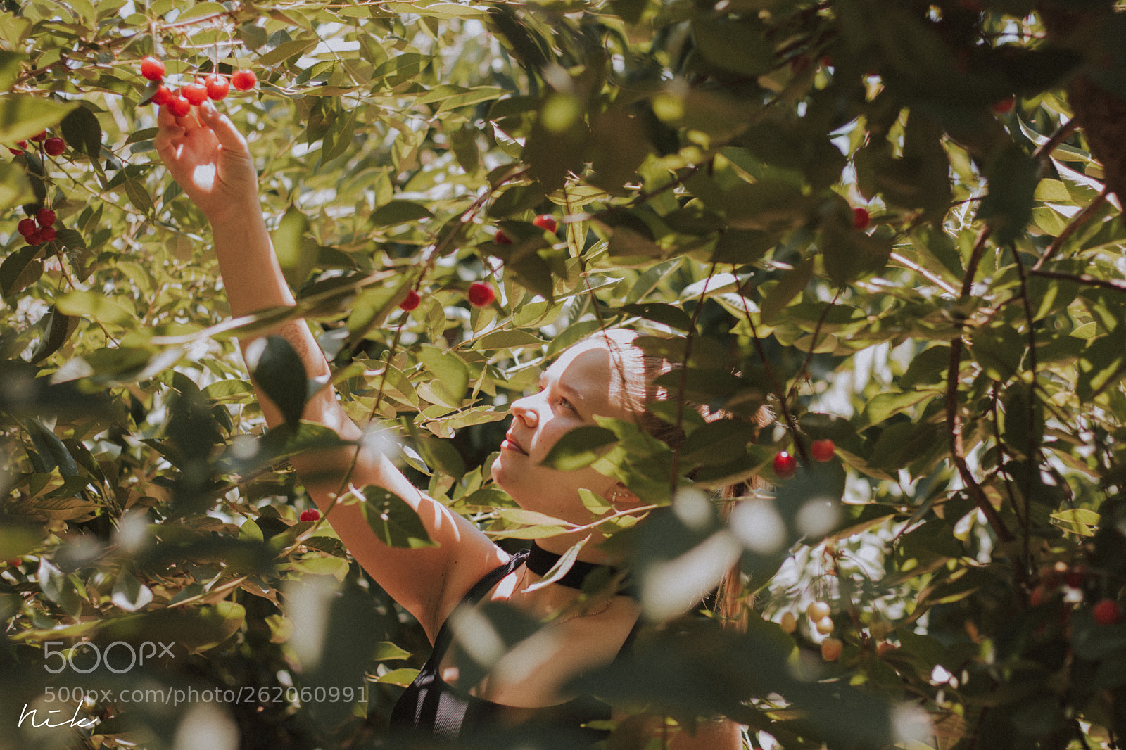 Canon EOS 750D (EOS Rebel T6i / EOS Kiss X8i) sample photo. A craving for cherries photography