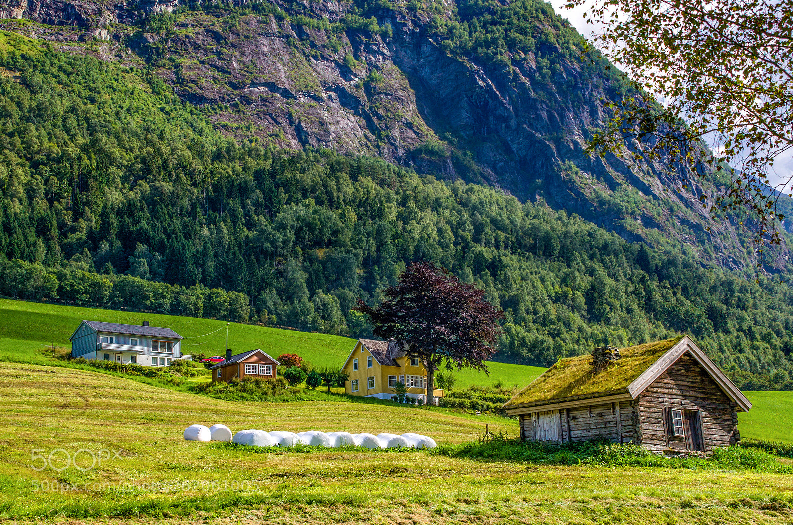 Nikon D7000 sample photo. Norwegian summer photography