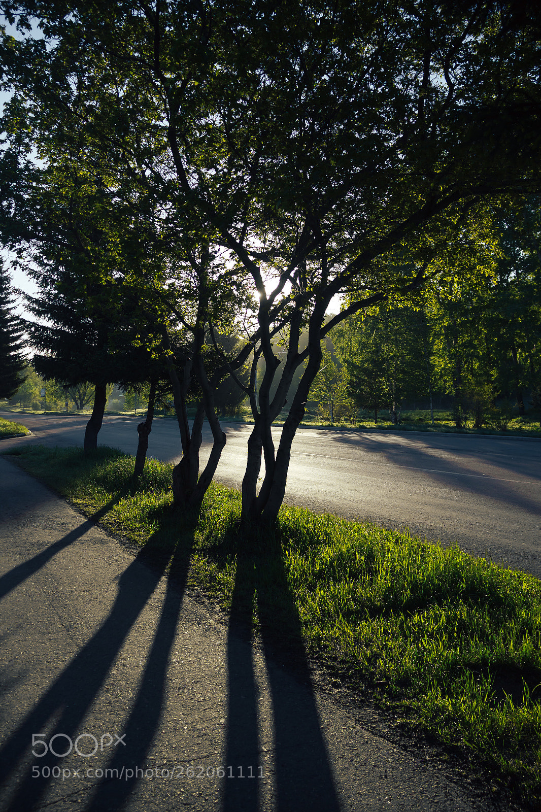 Canon EOS 60D sample photo. A shadows of the photography