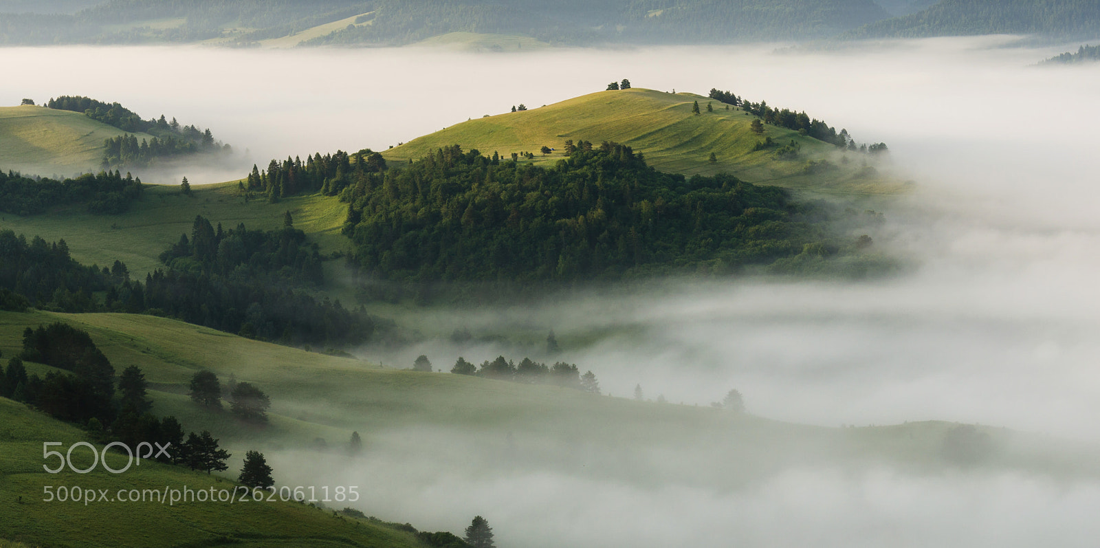 Nikon D7000 sample photo. Pieniny photography