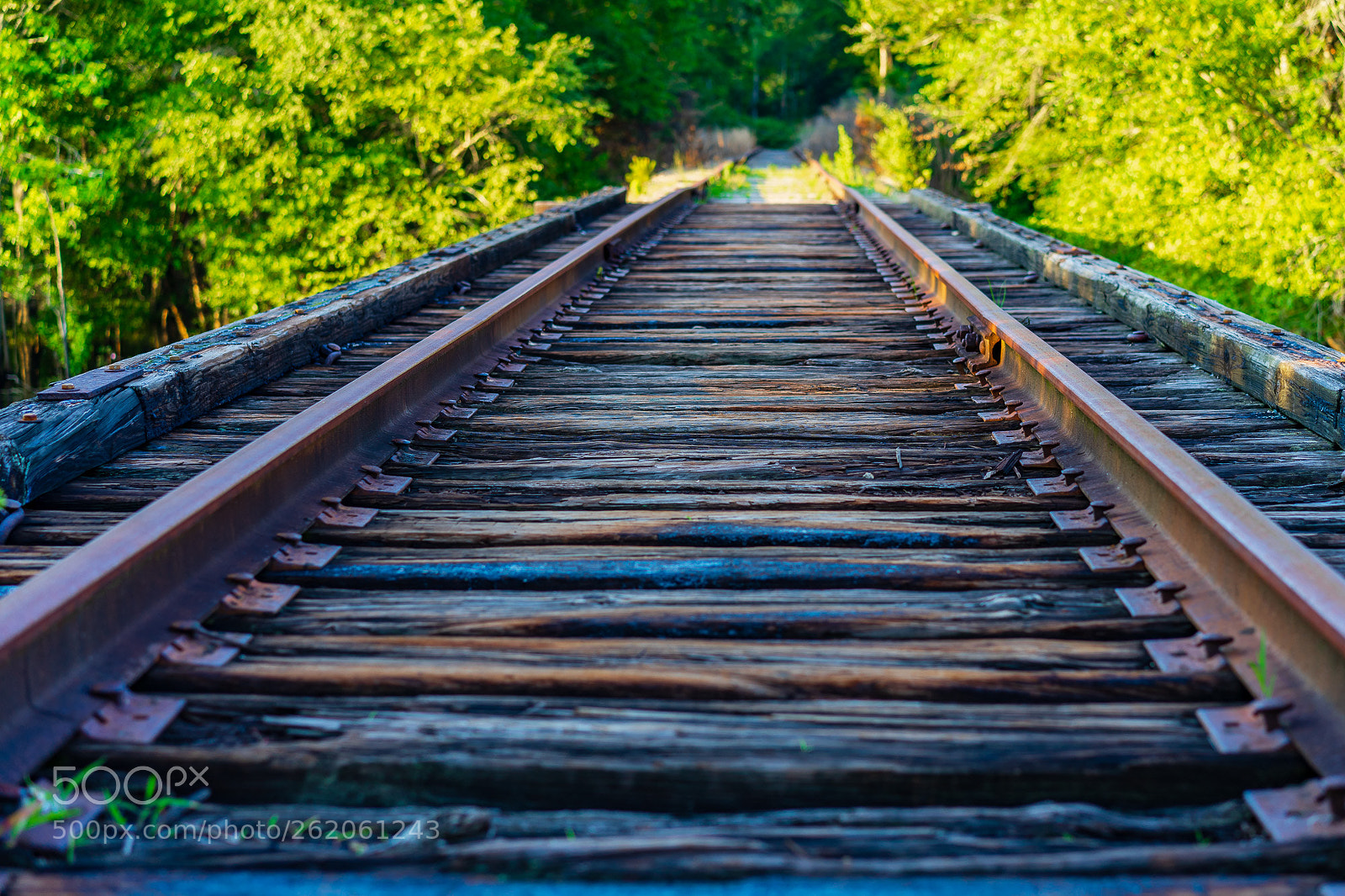 Sony a7 II sample photo. Old raiload bridge photography