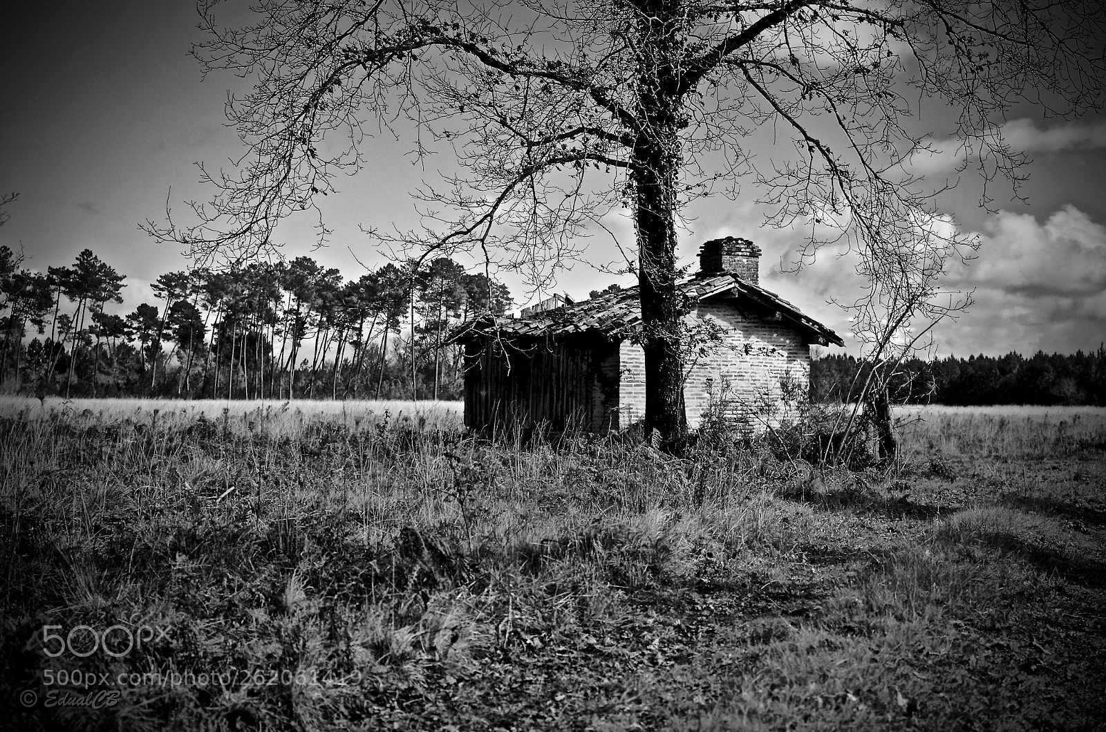 Pentax K-5 sample photo. Black and white old photography