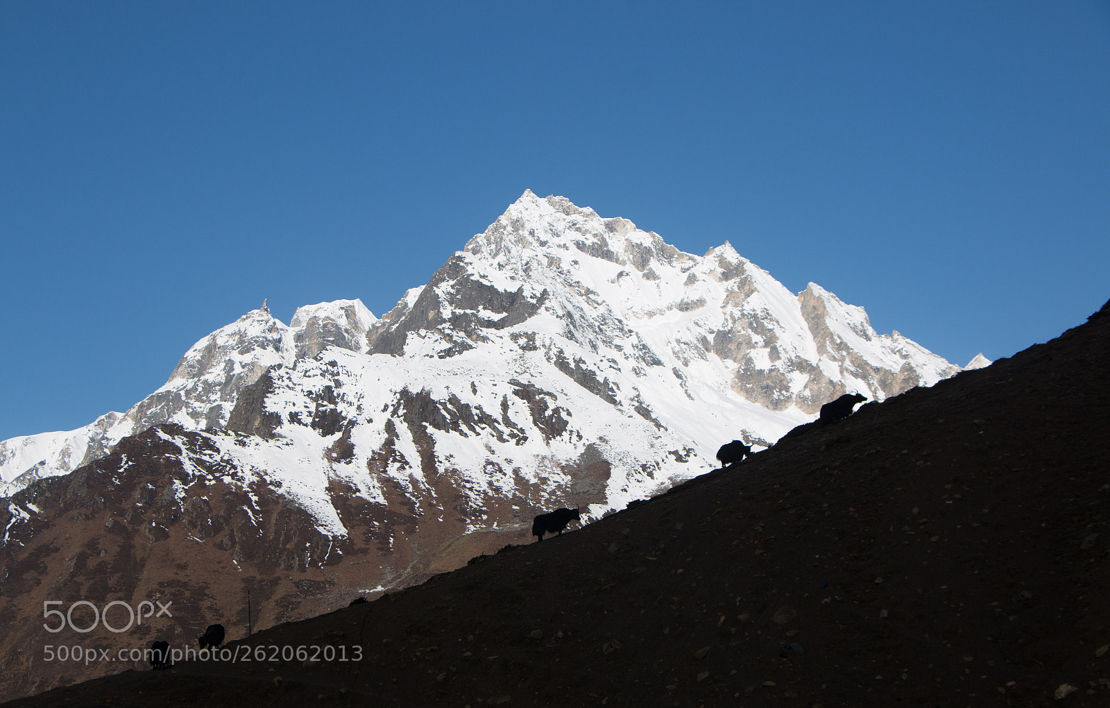 Canon EOS 70D sample photo. Rising mountains! photography